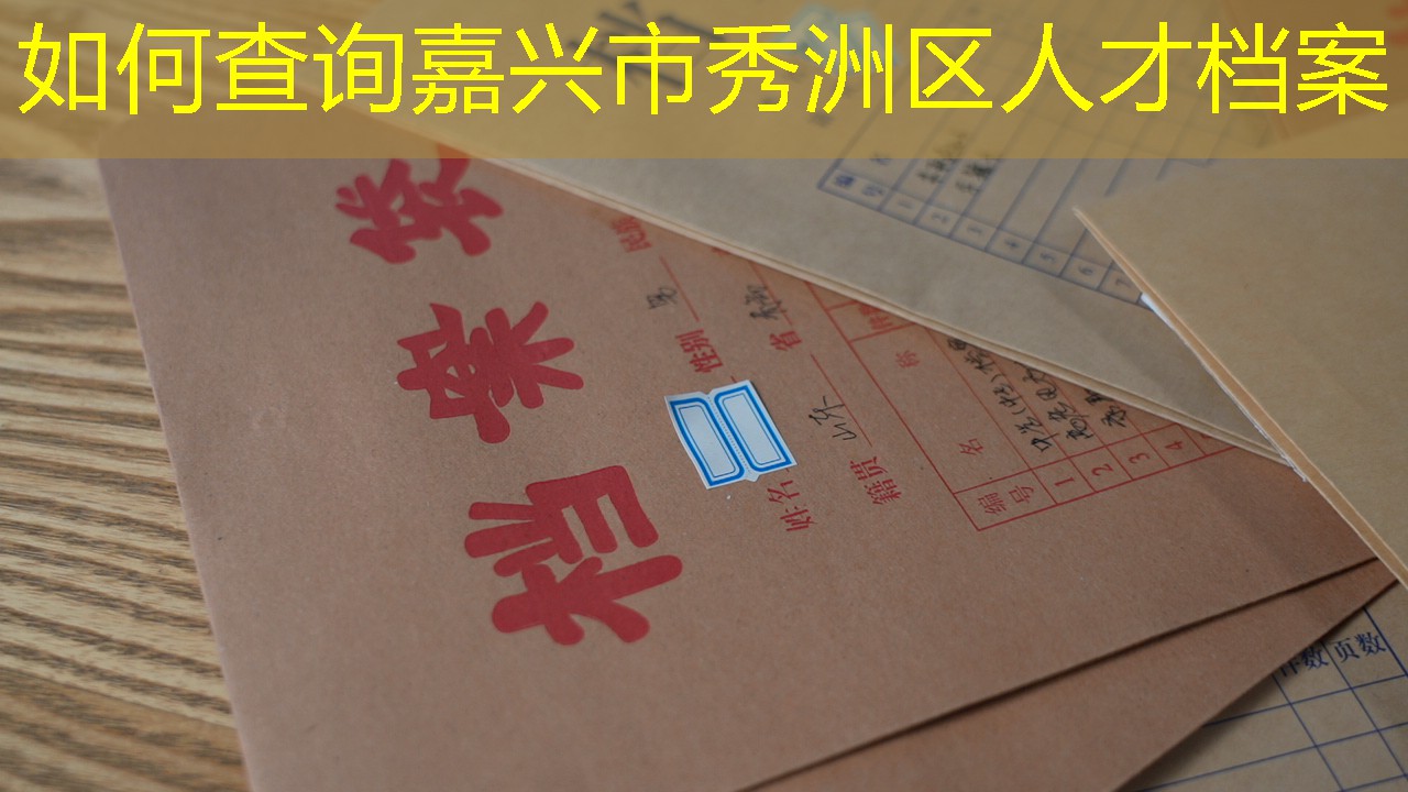 档案查询
