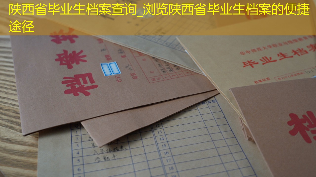 档案查询