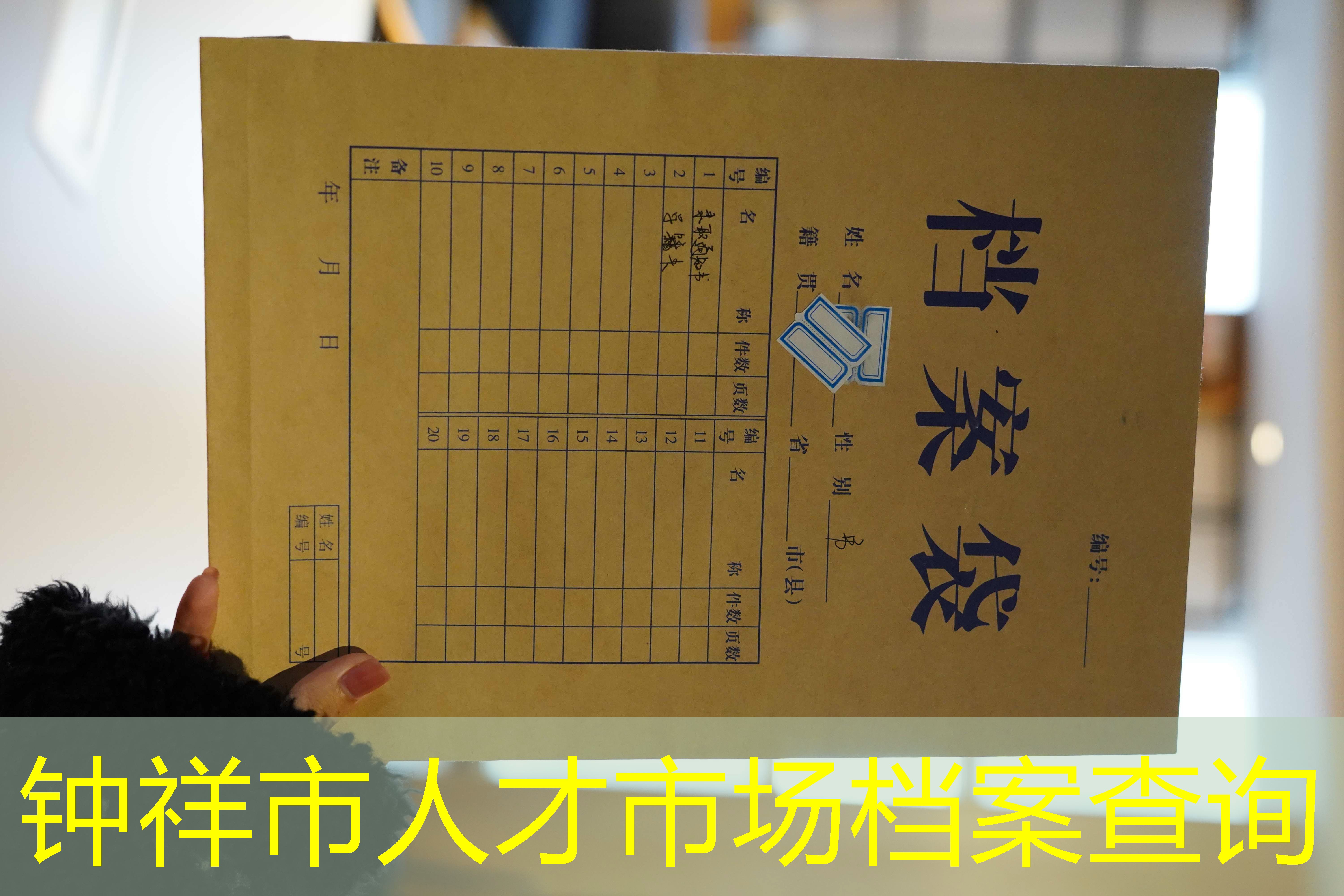 档案查询