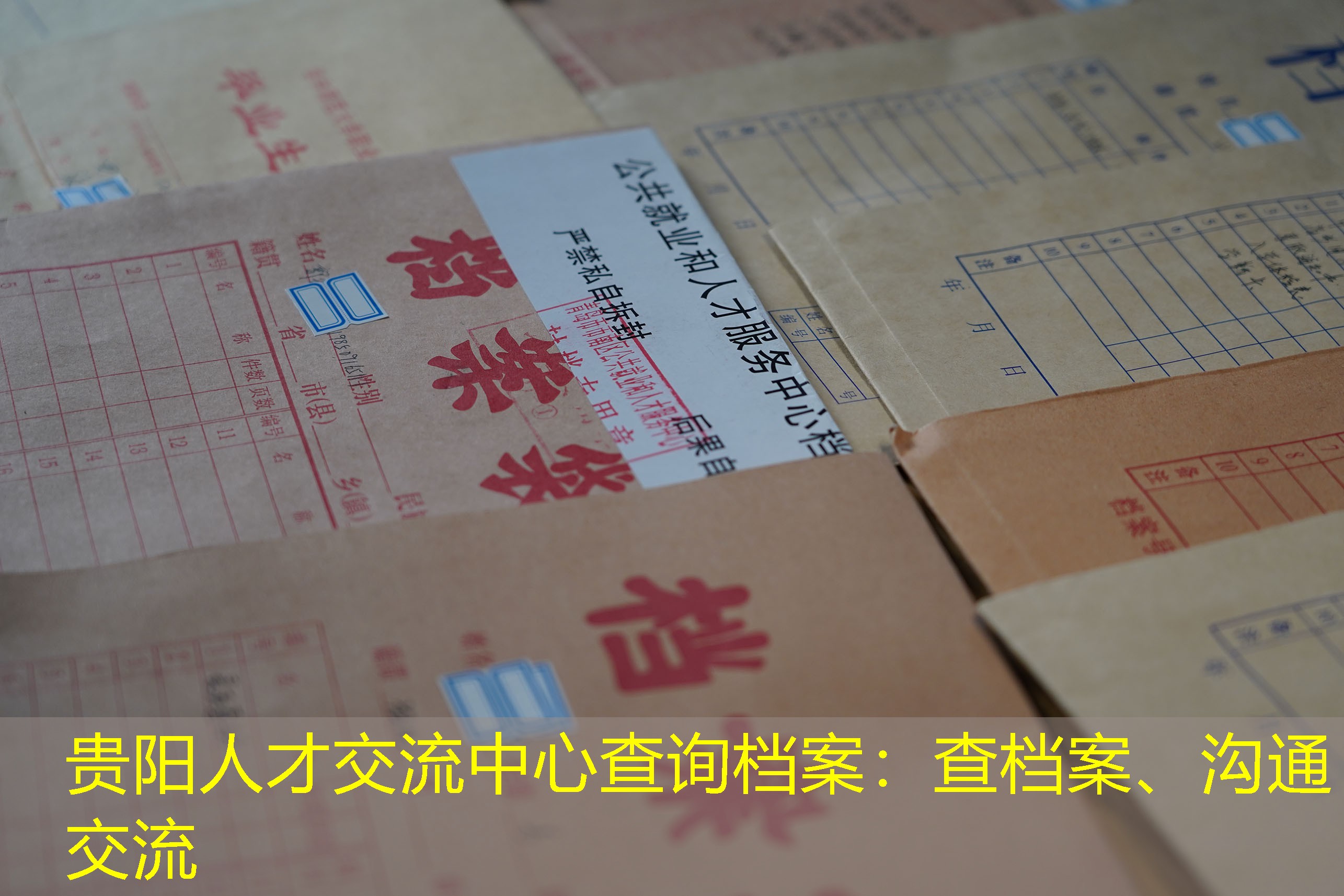 档案查询