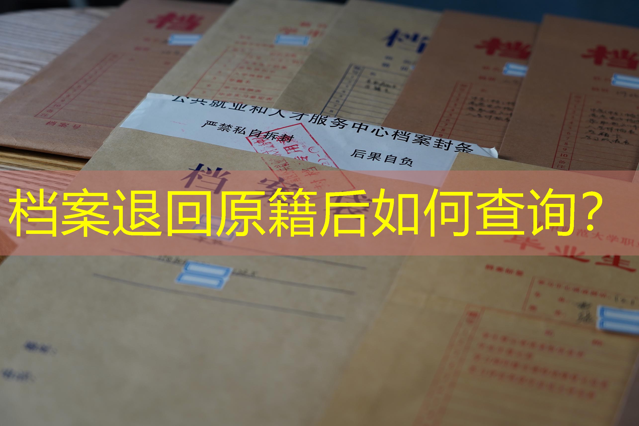 档案查询