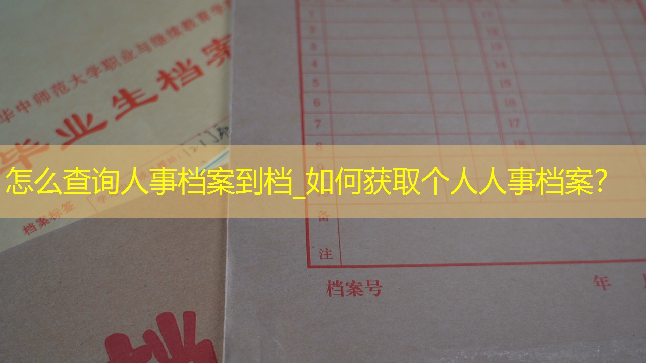档案查询
