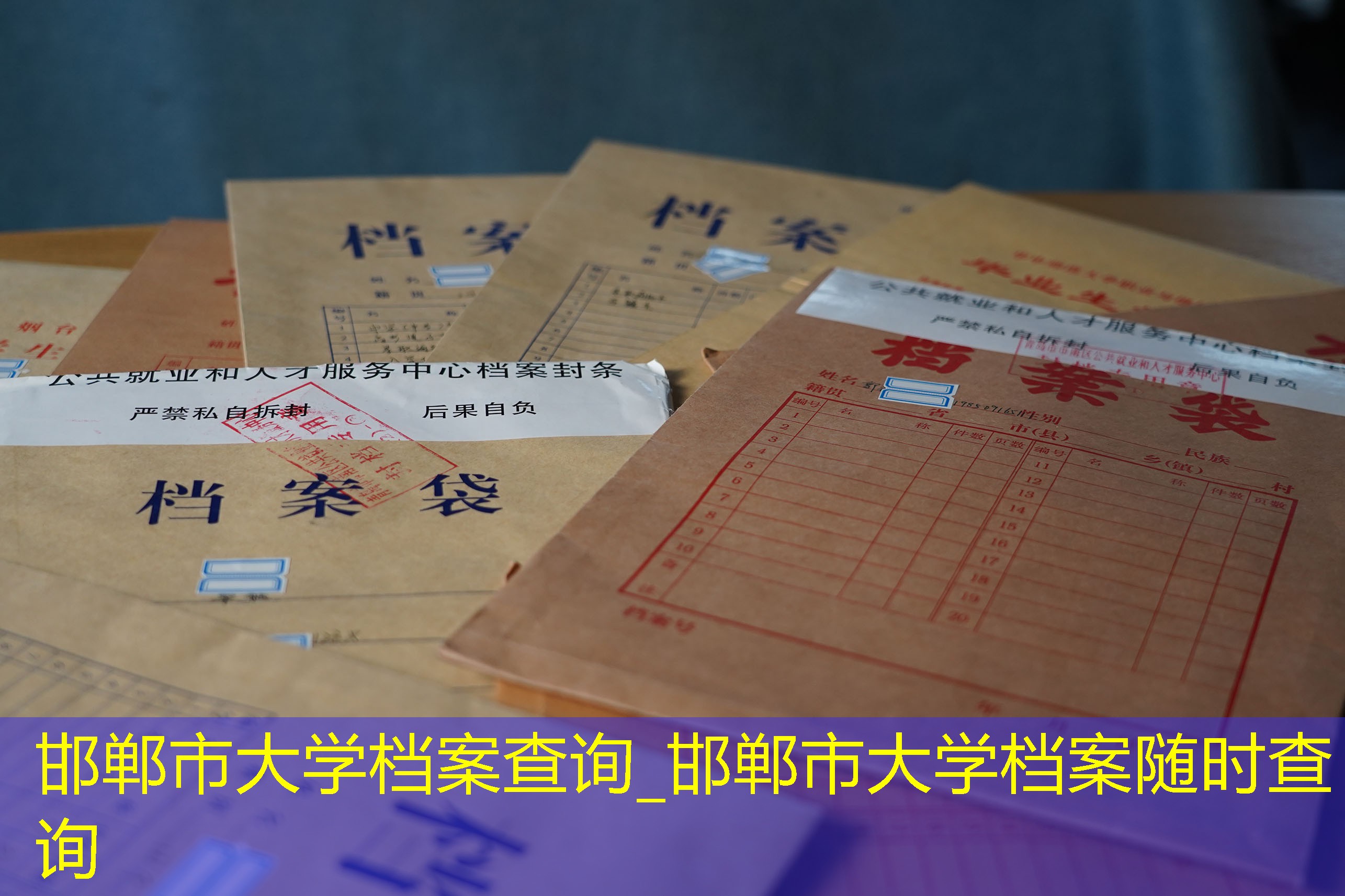 档案查询