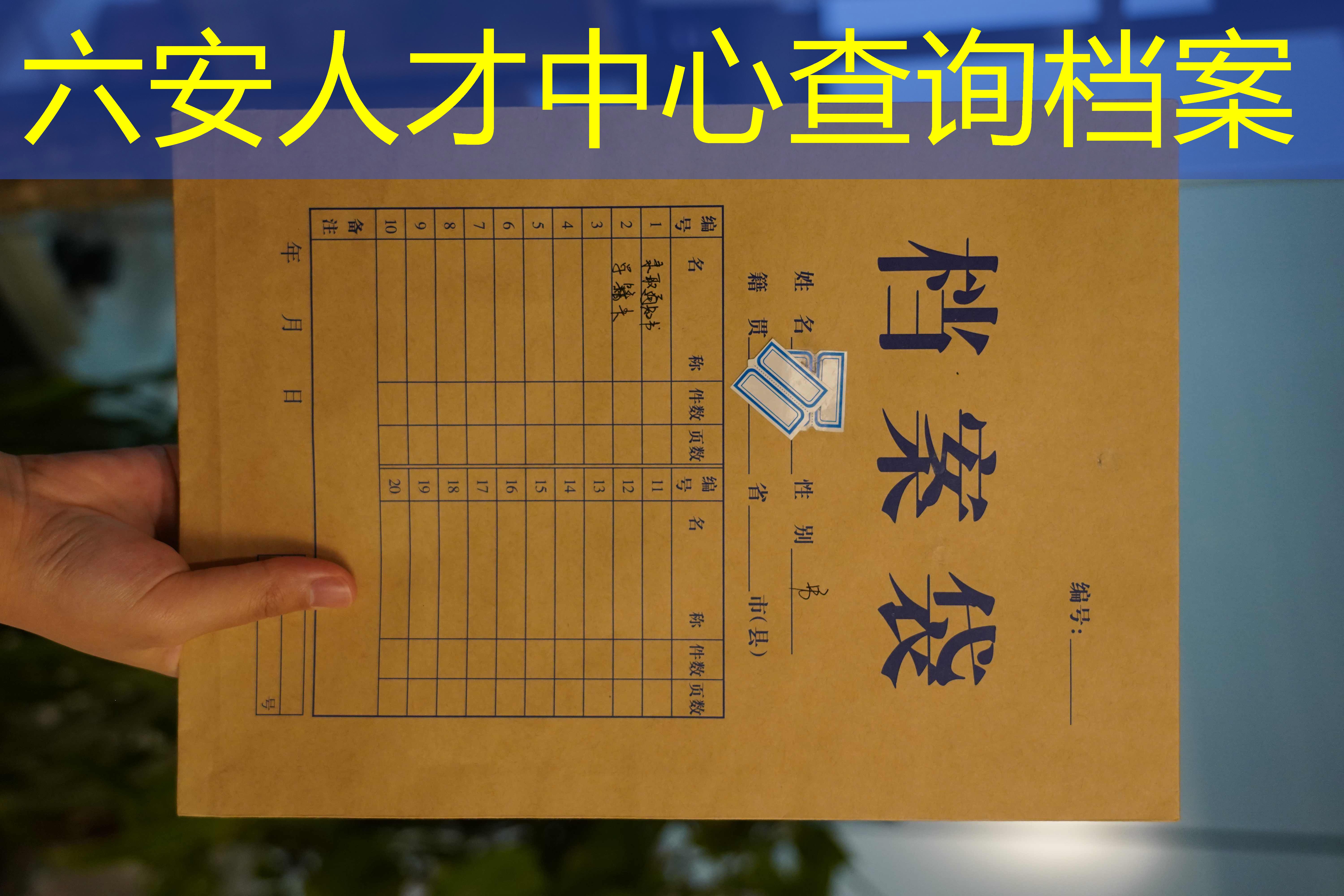 档案查询