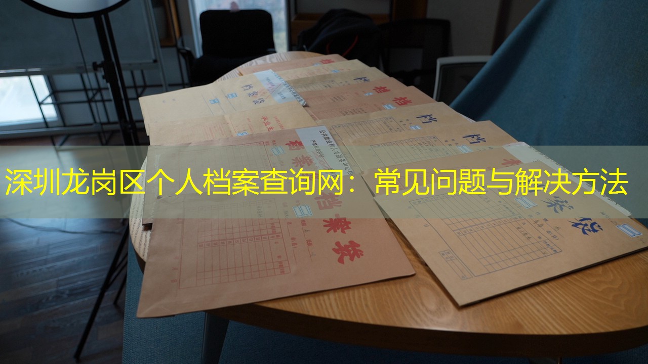 档案查询
