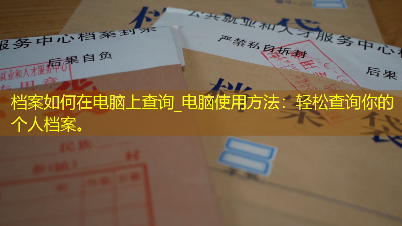 档案查询