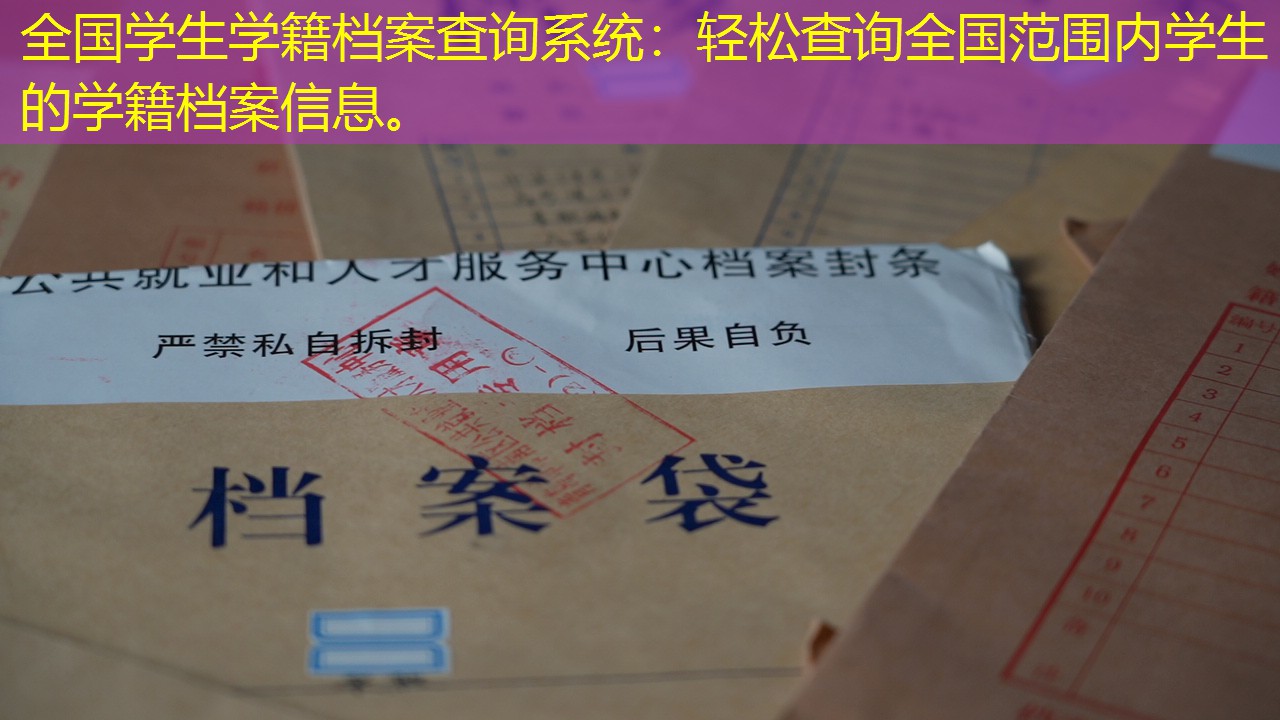 档案查询