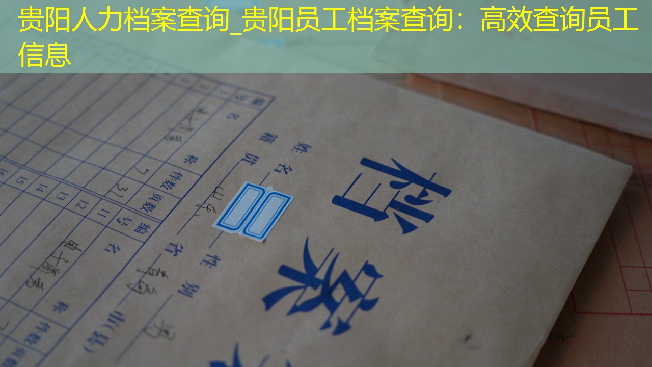 档案查询