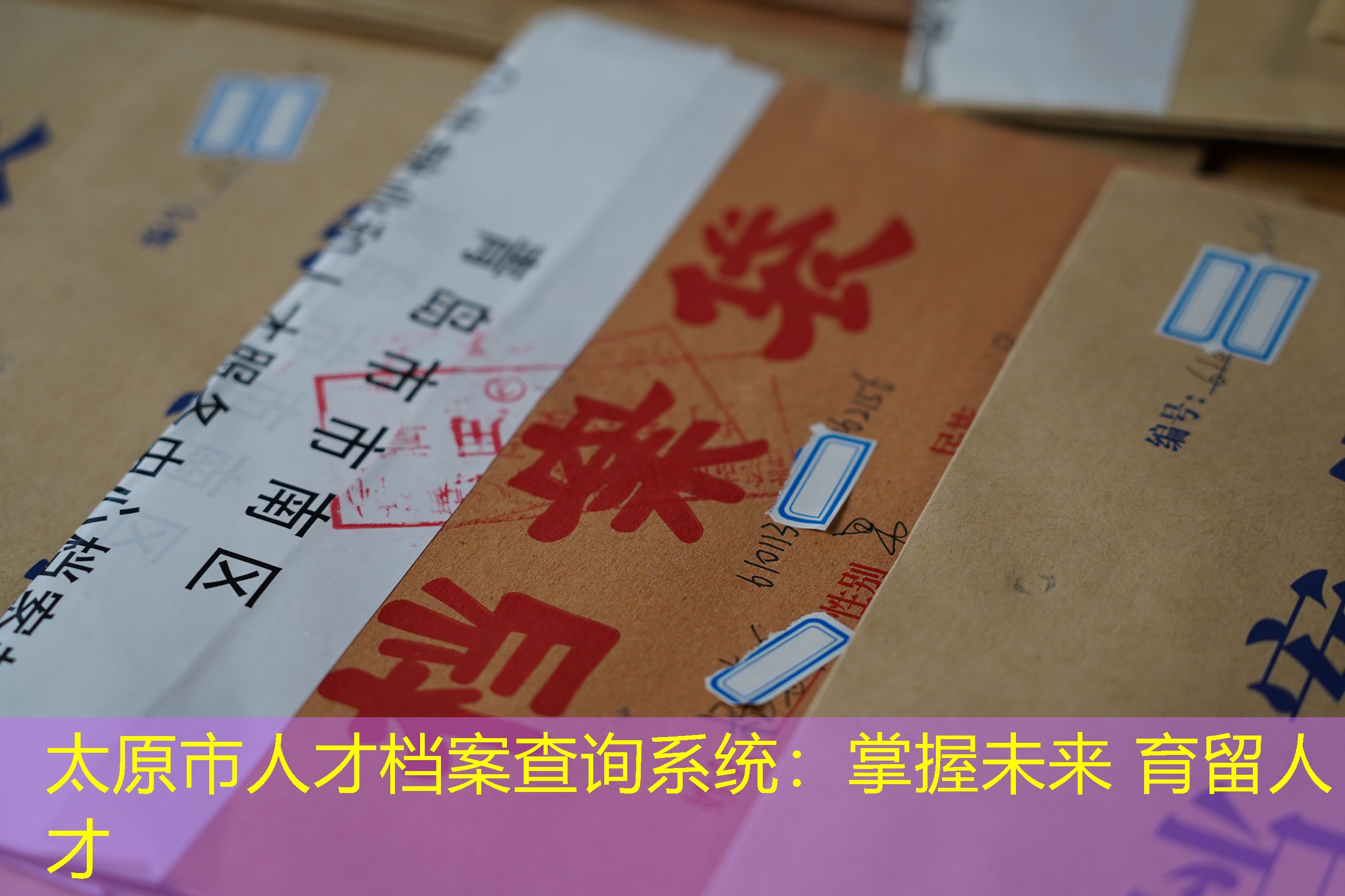 档案查询