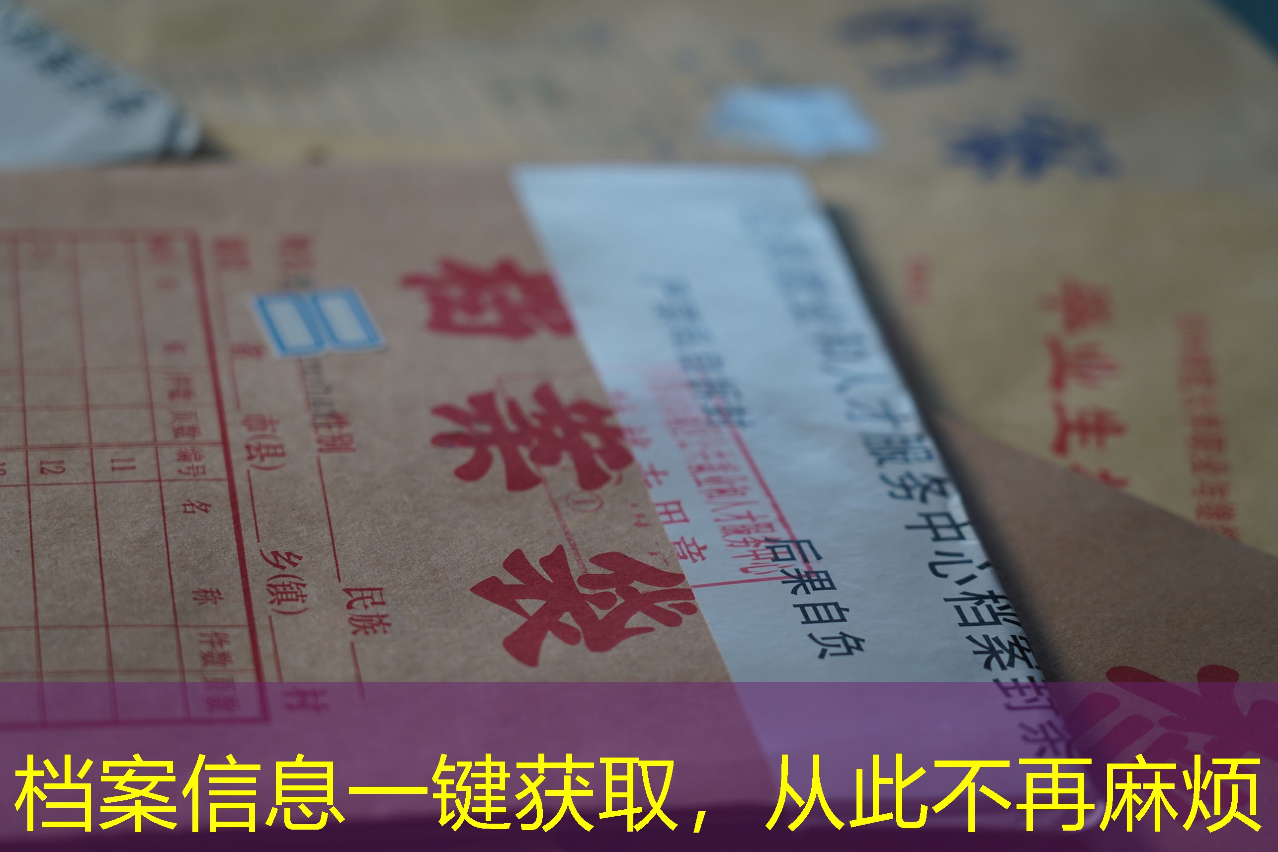 档案查询