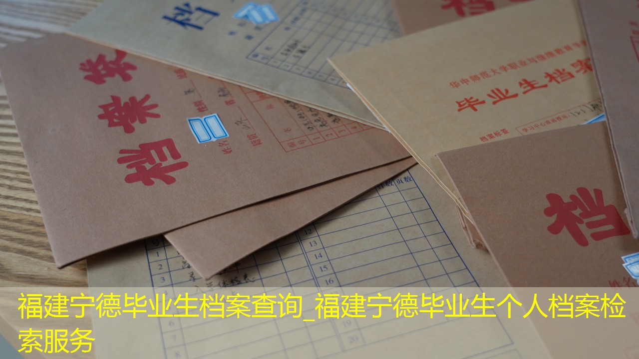 档案查询
