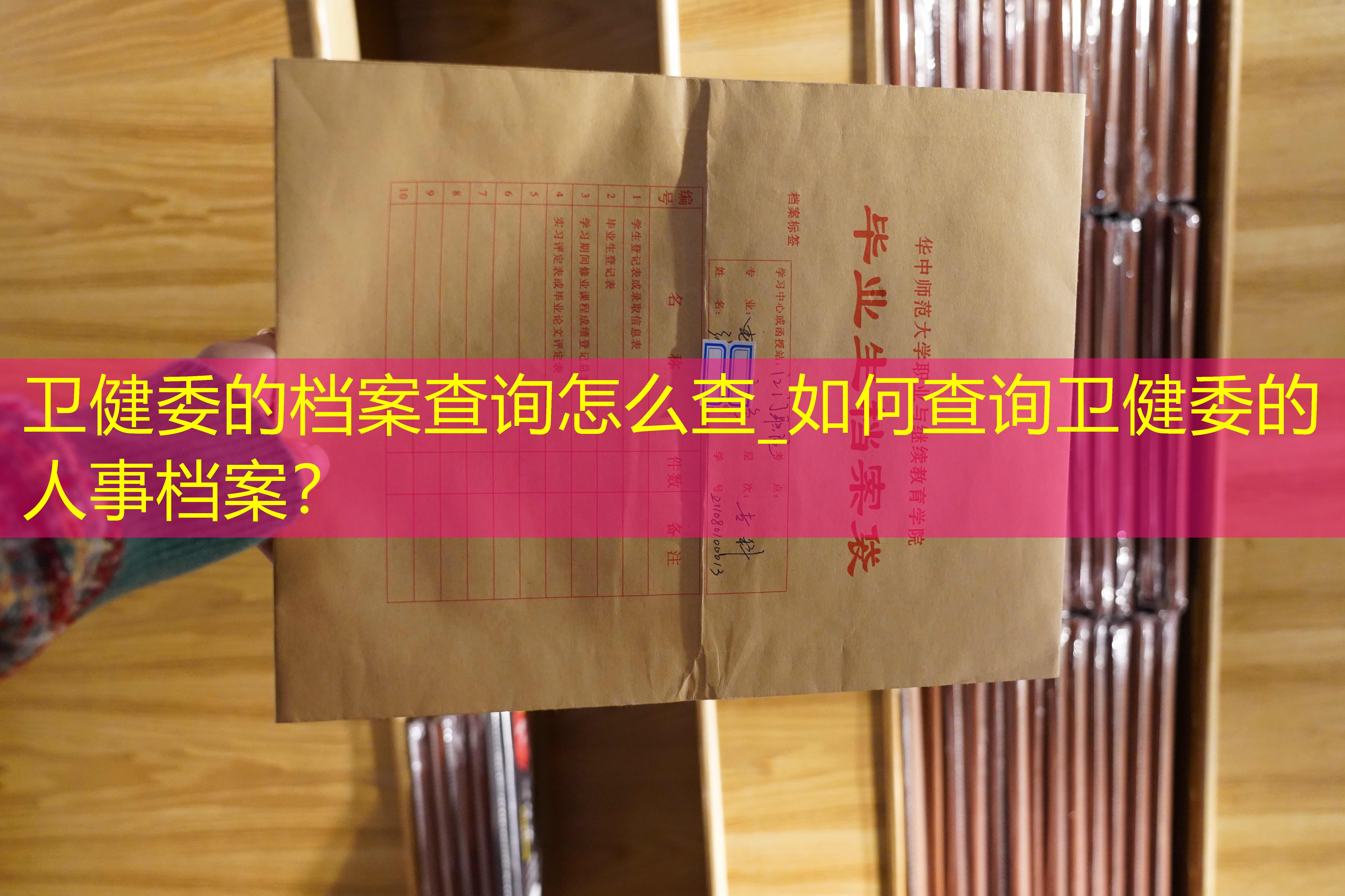 档案查询