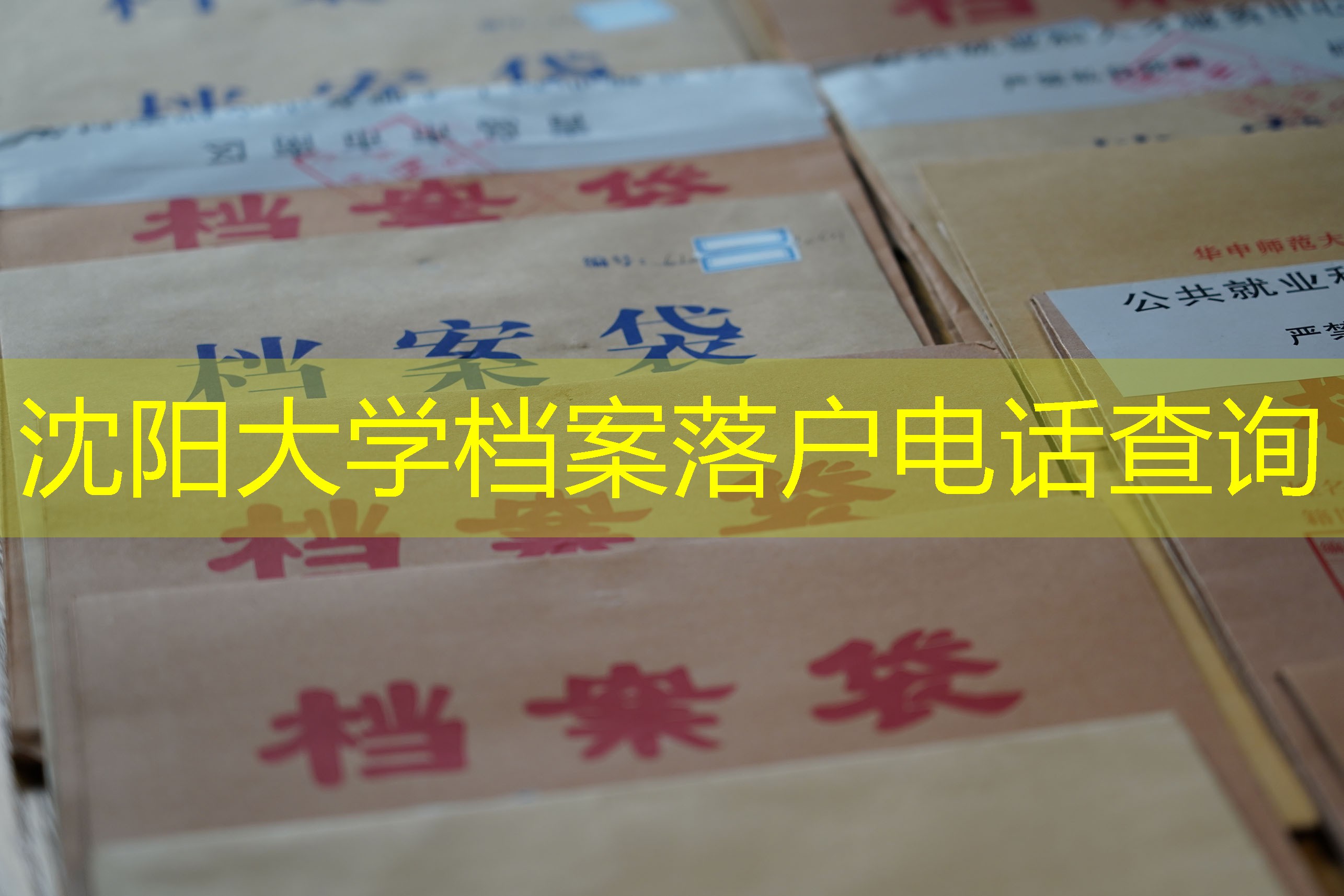 档案查询