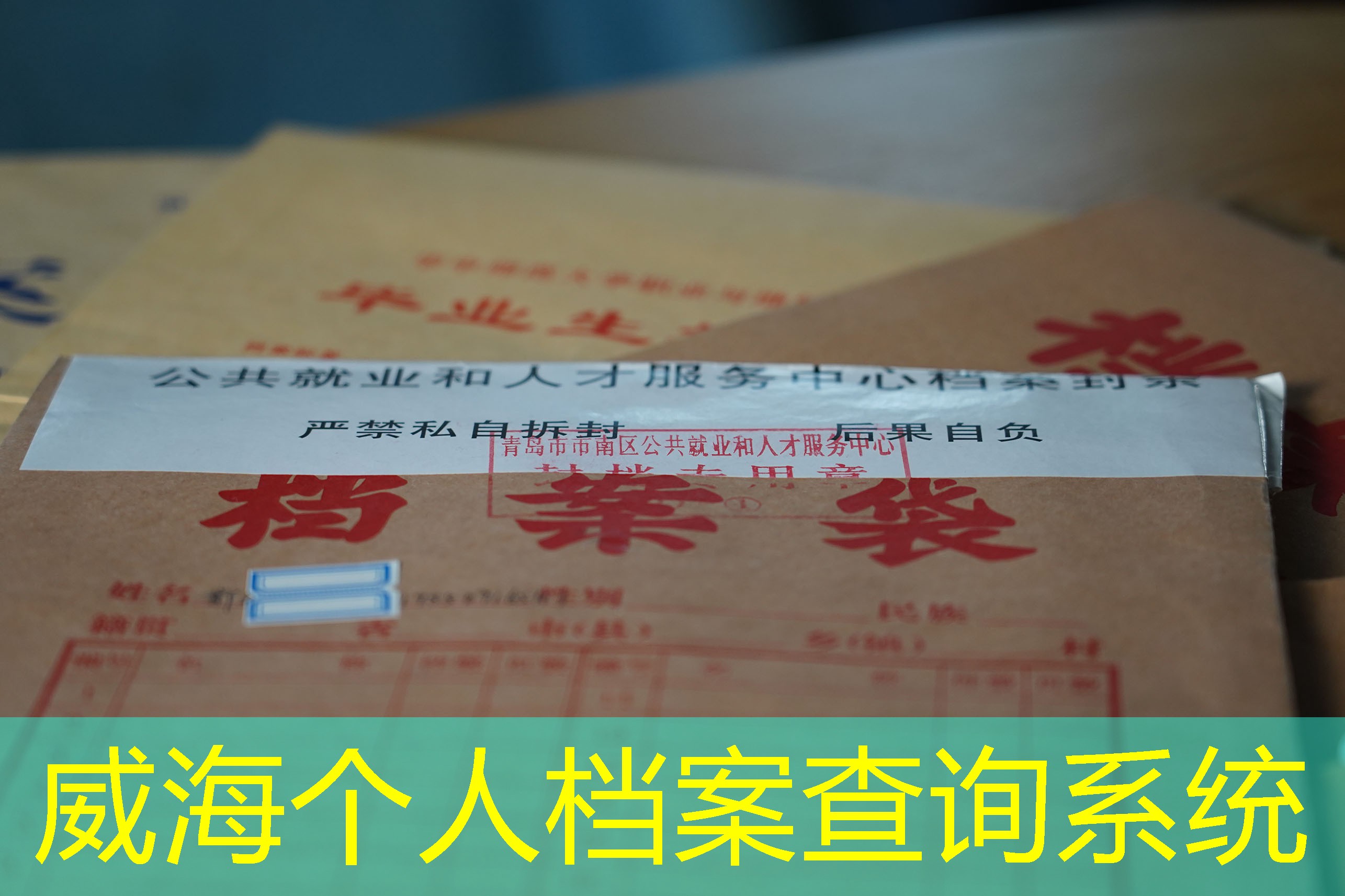 档案查询