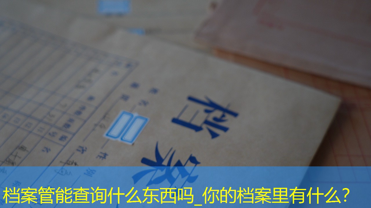 档案查询