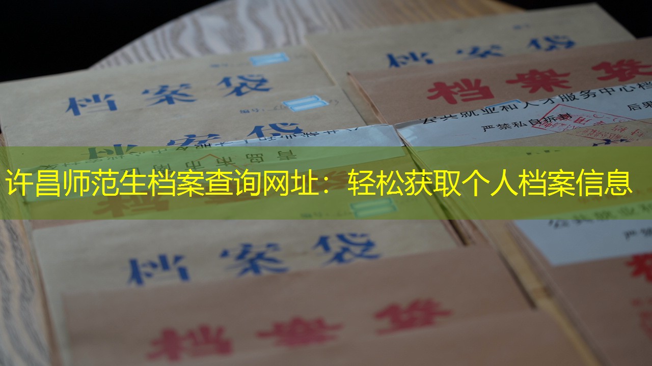 档案查询