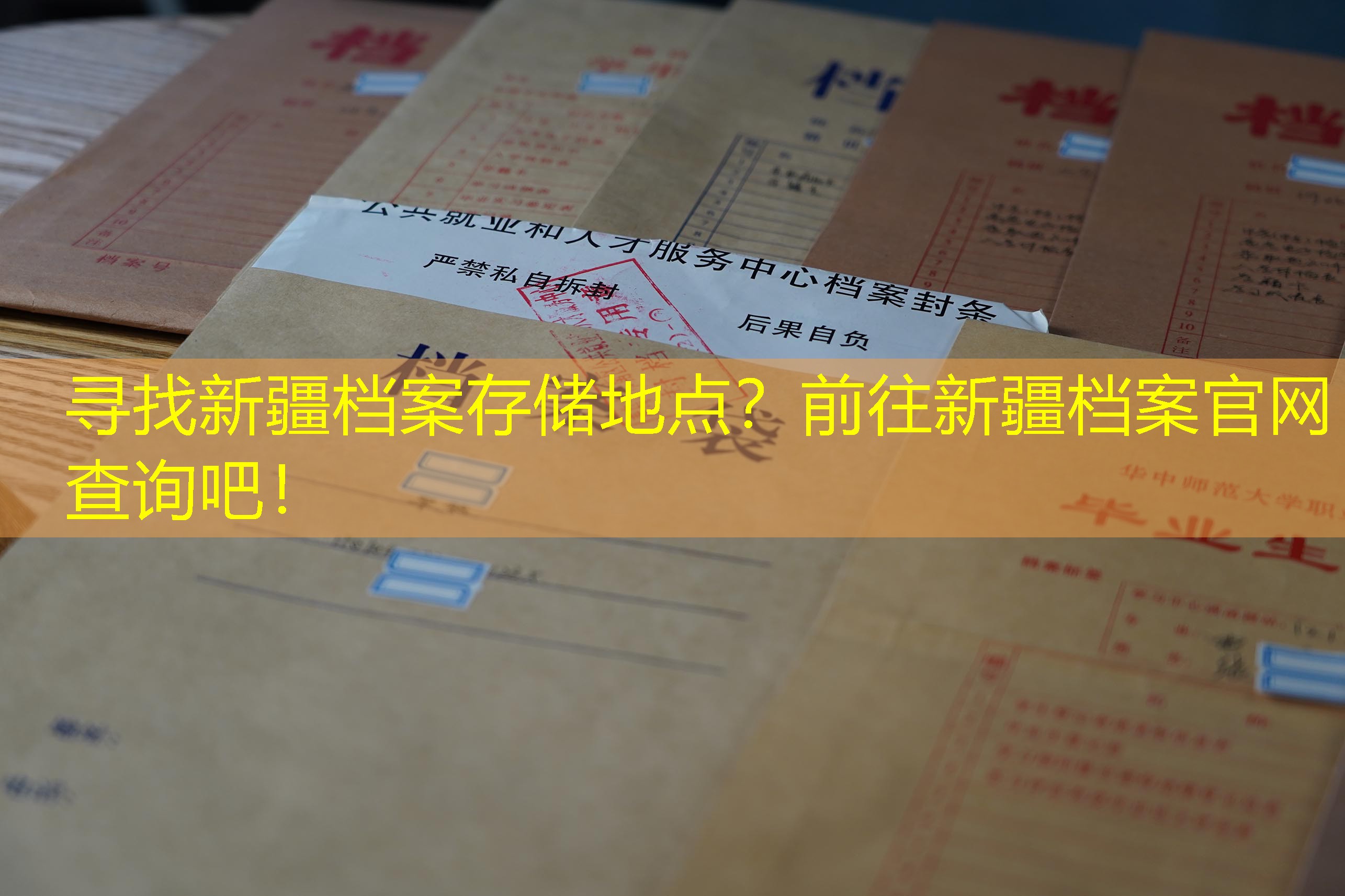 档案查询