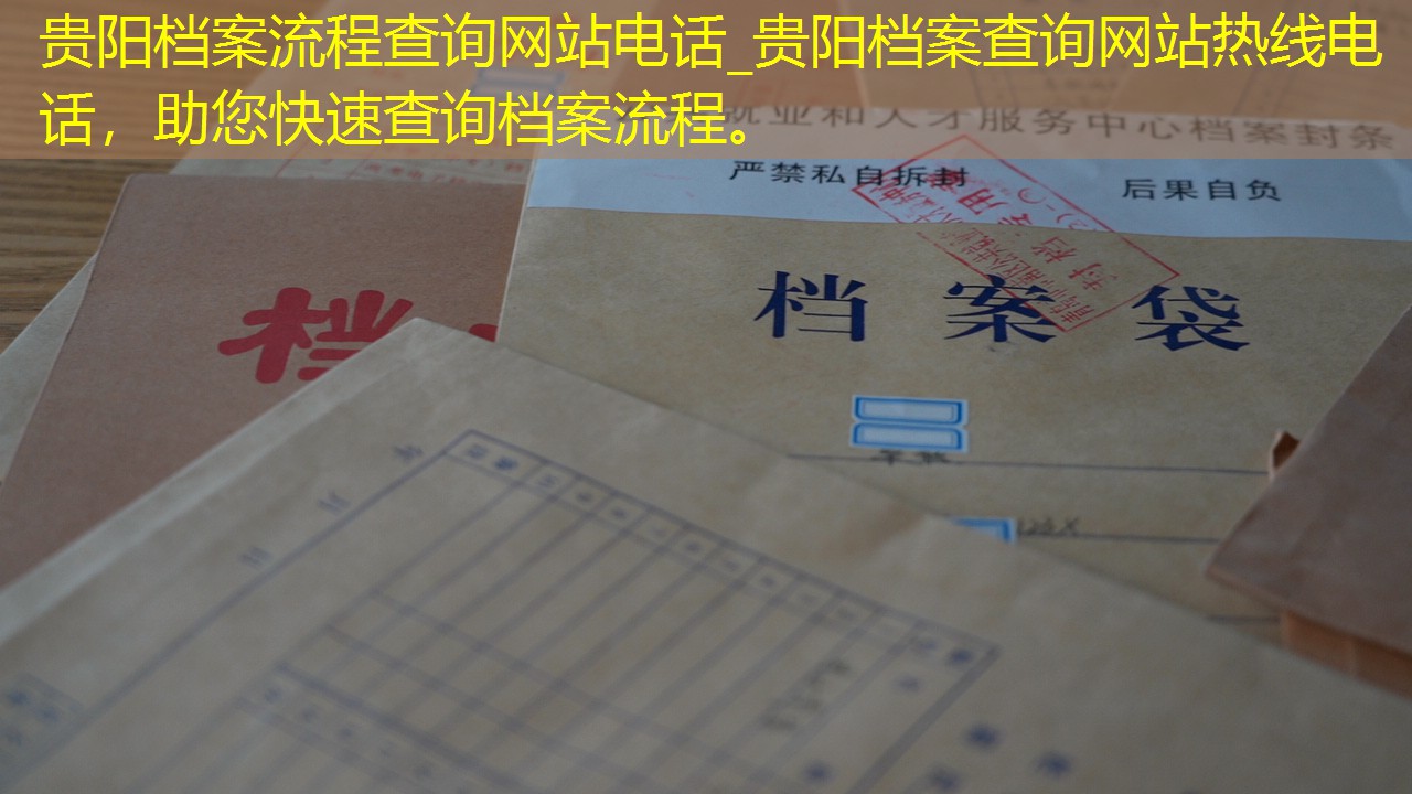 档案查询
