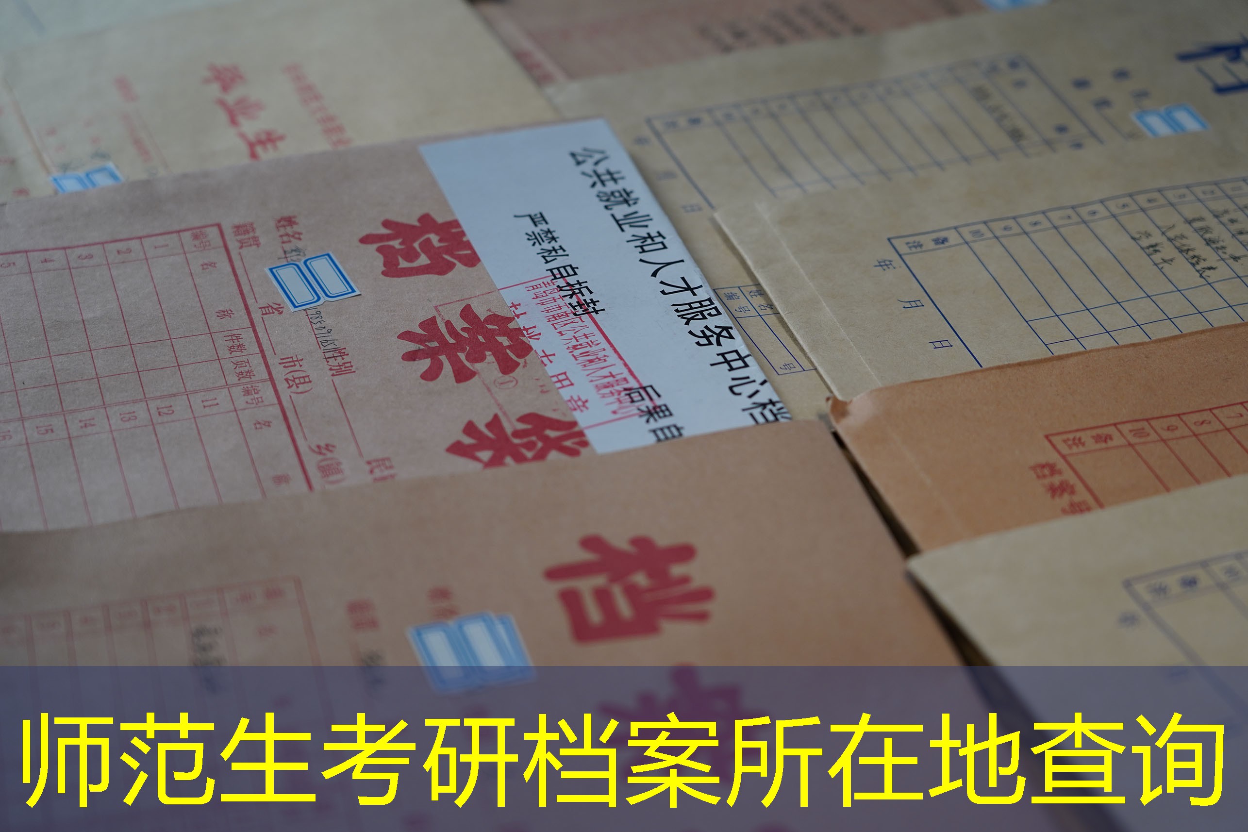 档案查询
