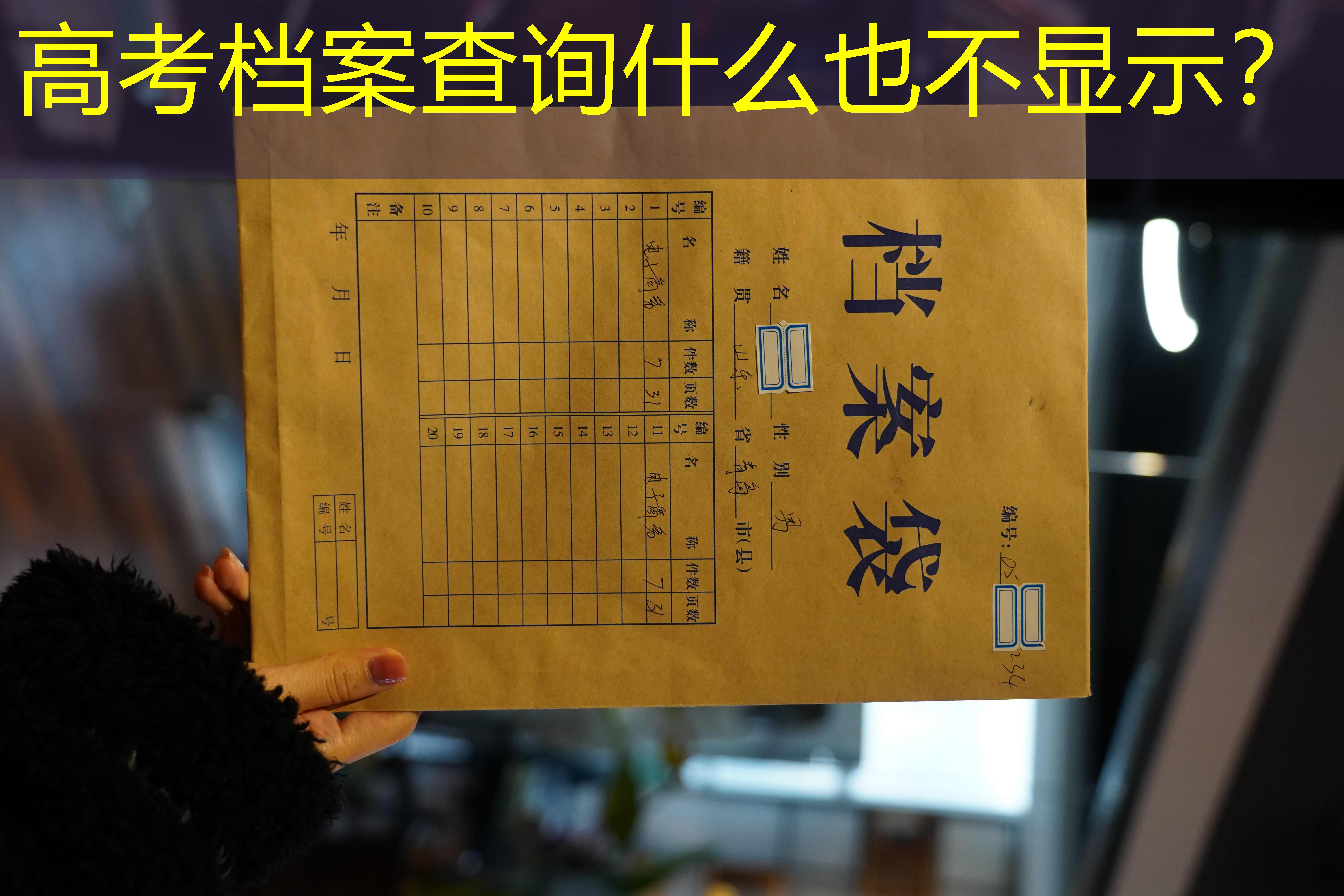 档案查询
