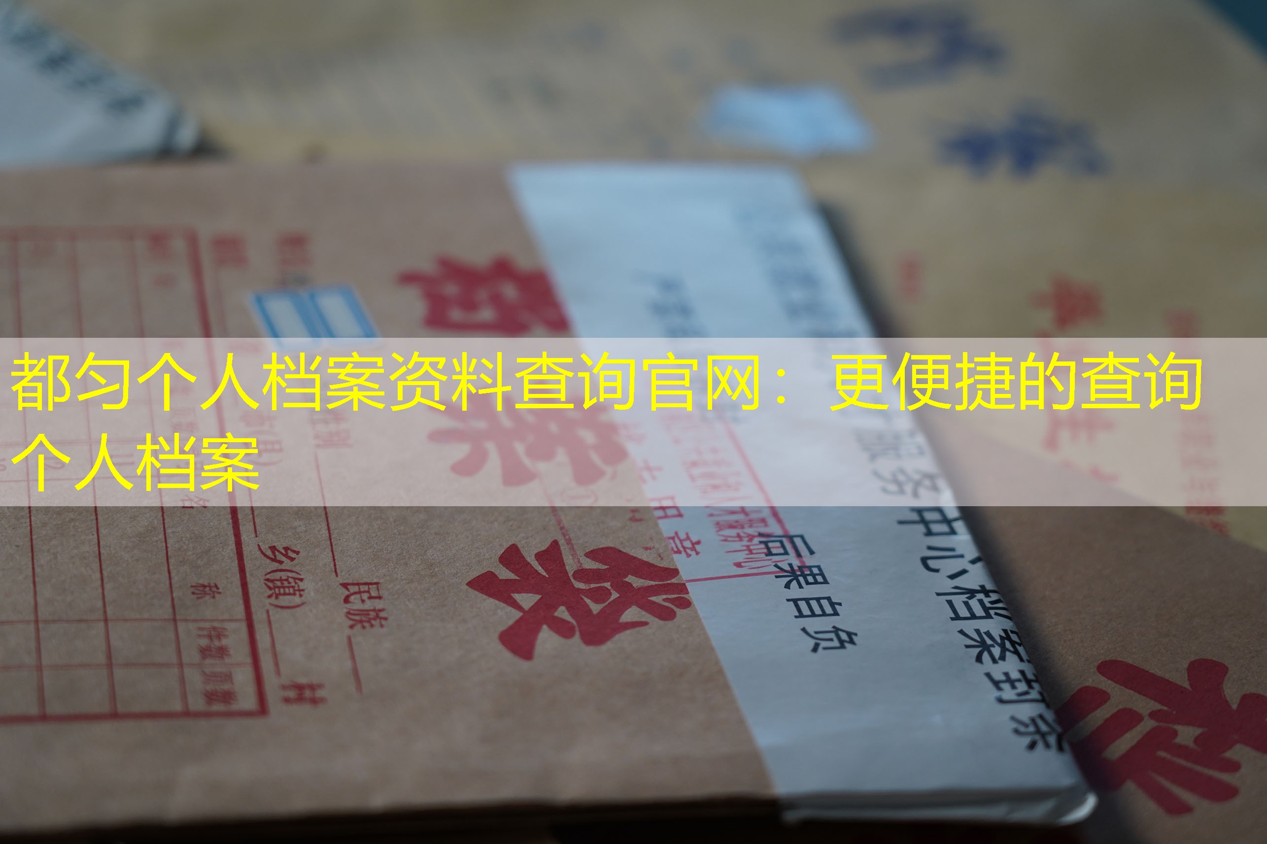 档案查询