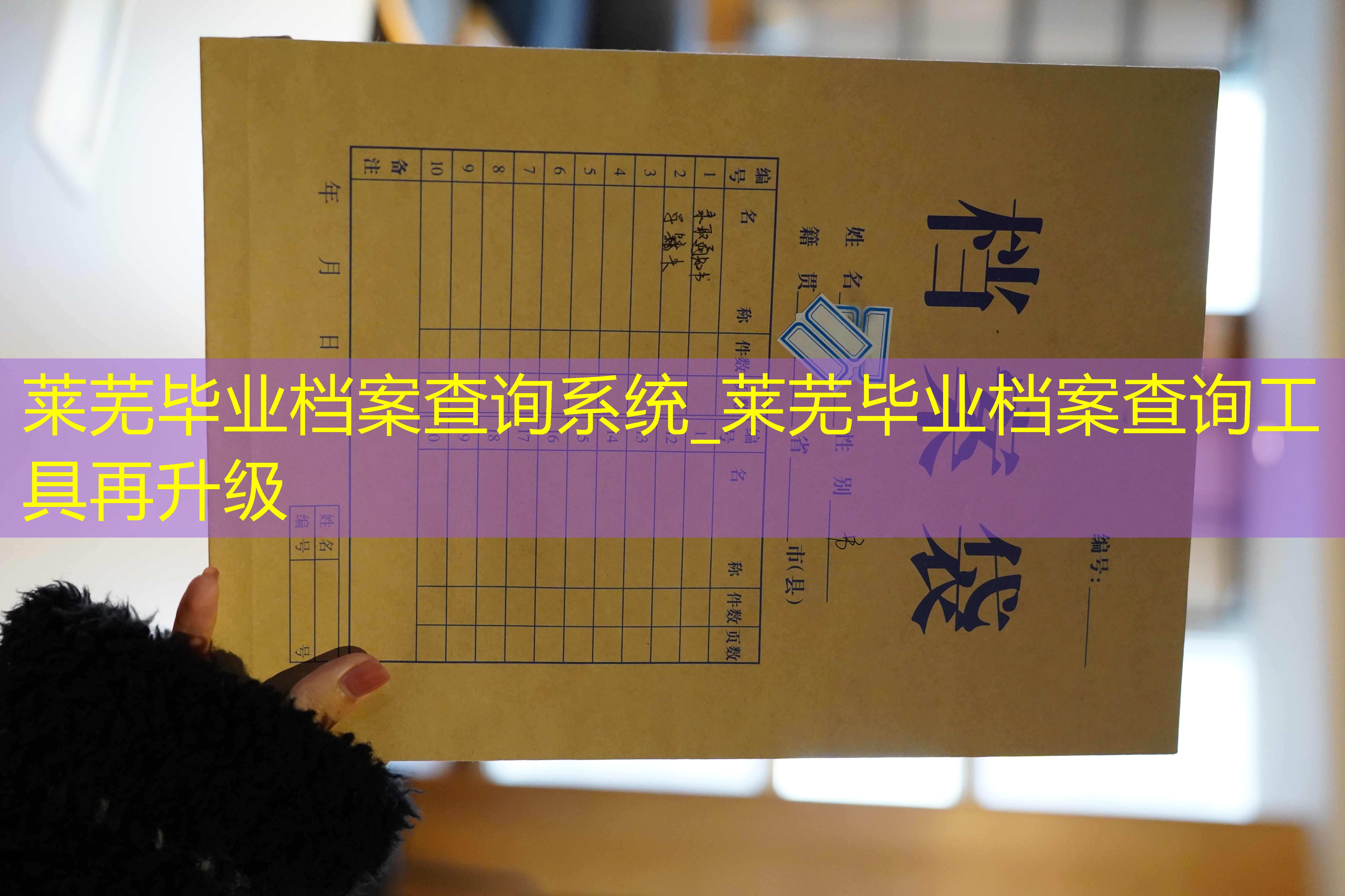 档案查询