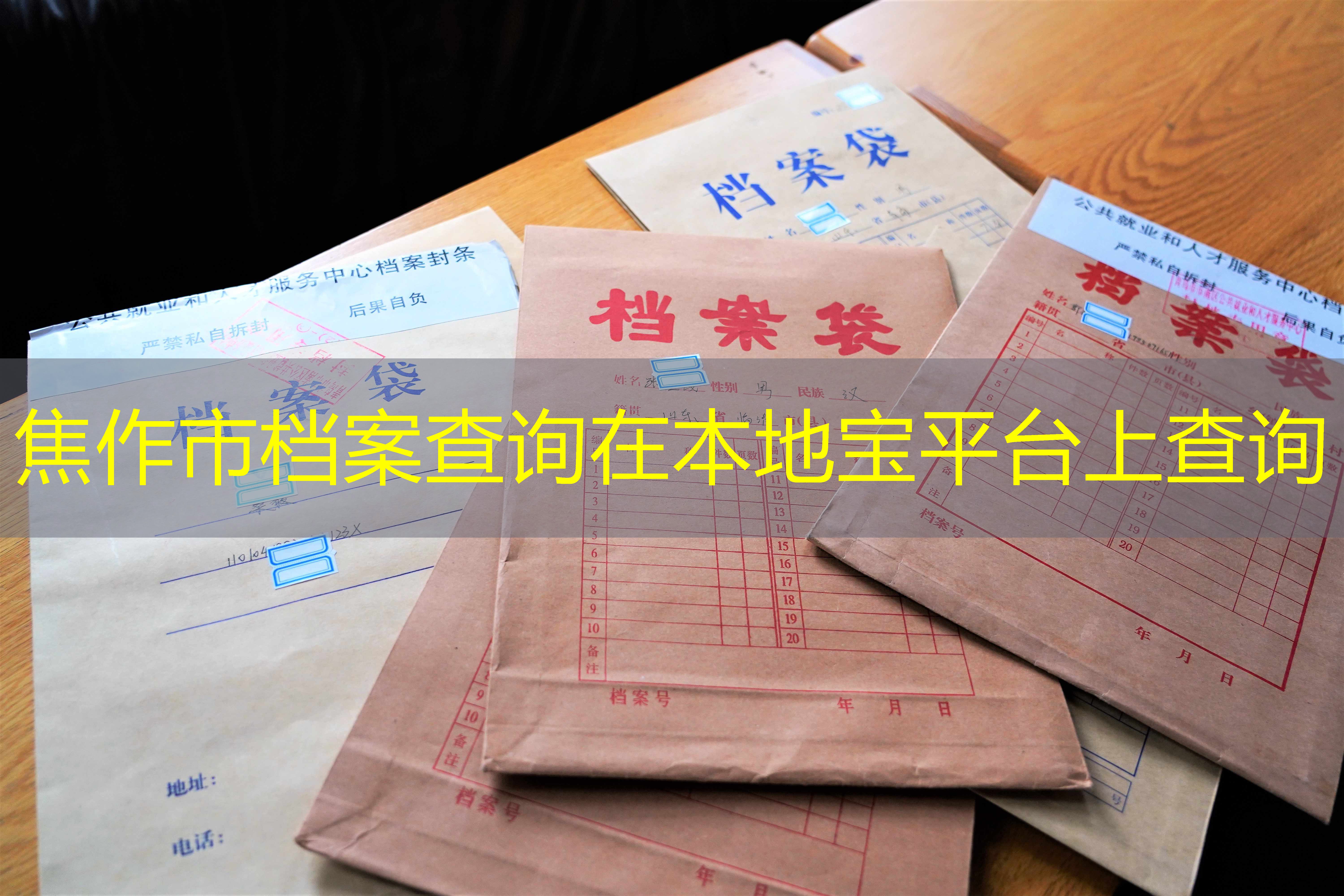 档案查询