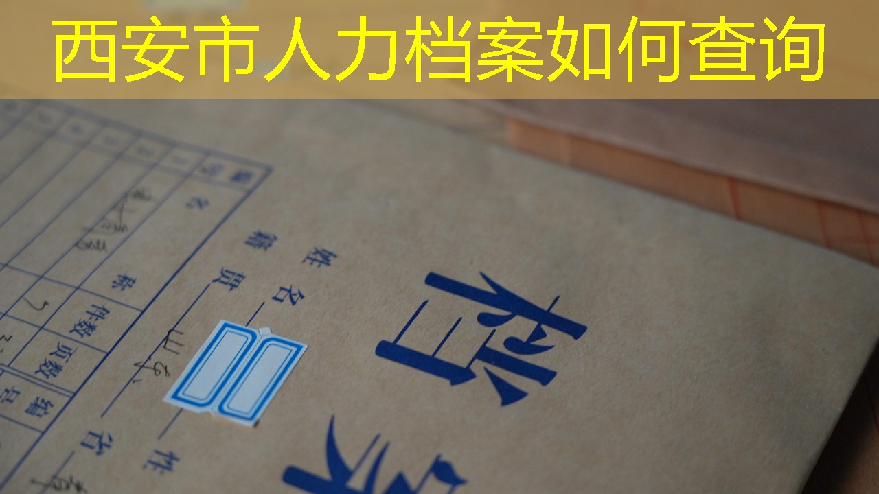 档案查询