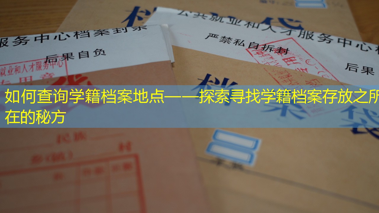 档案查询