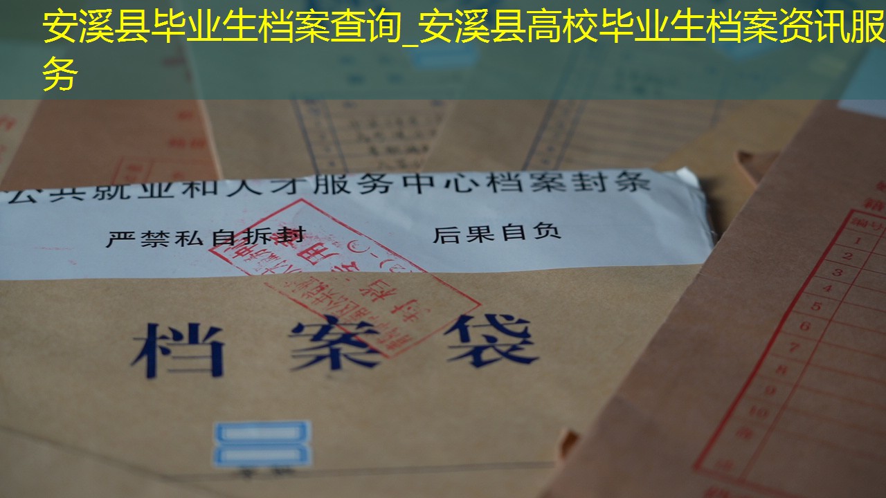档案查询