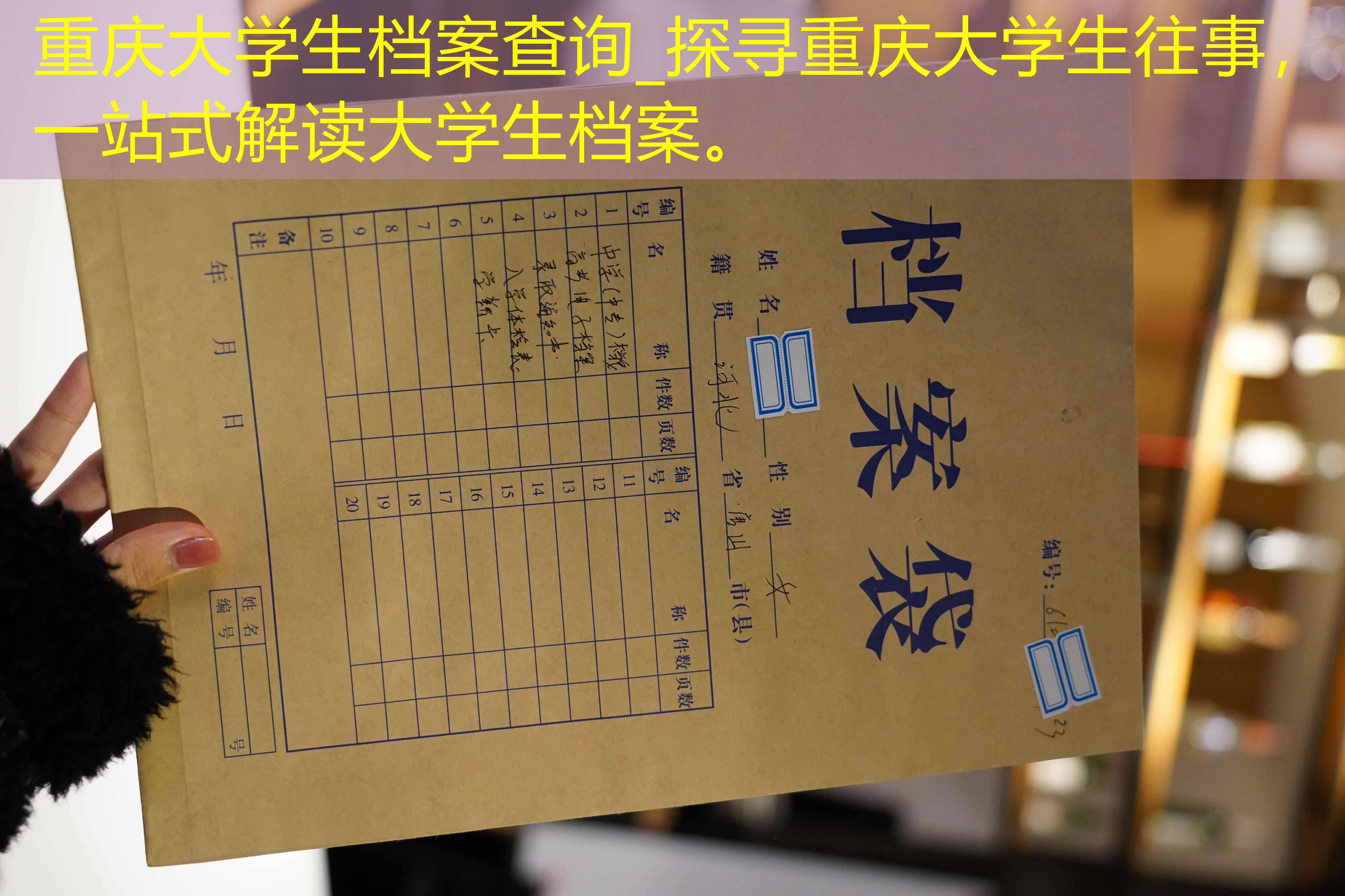 档案查询