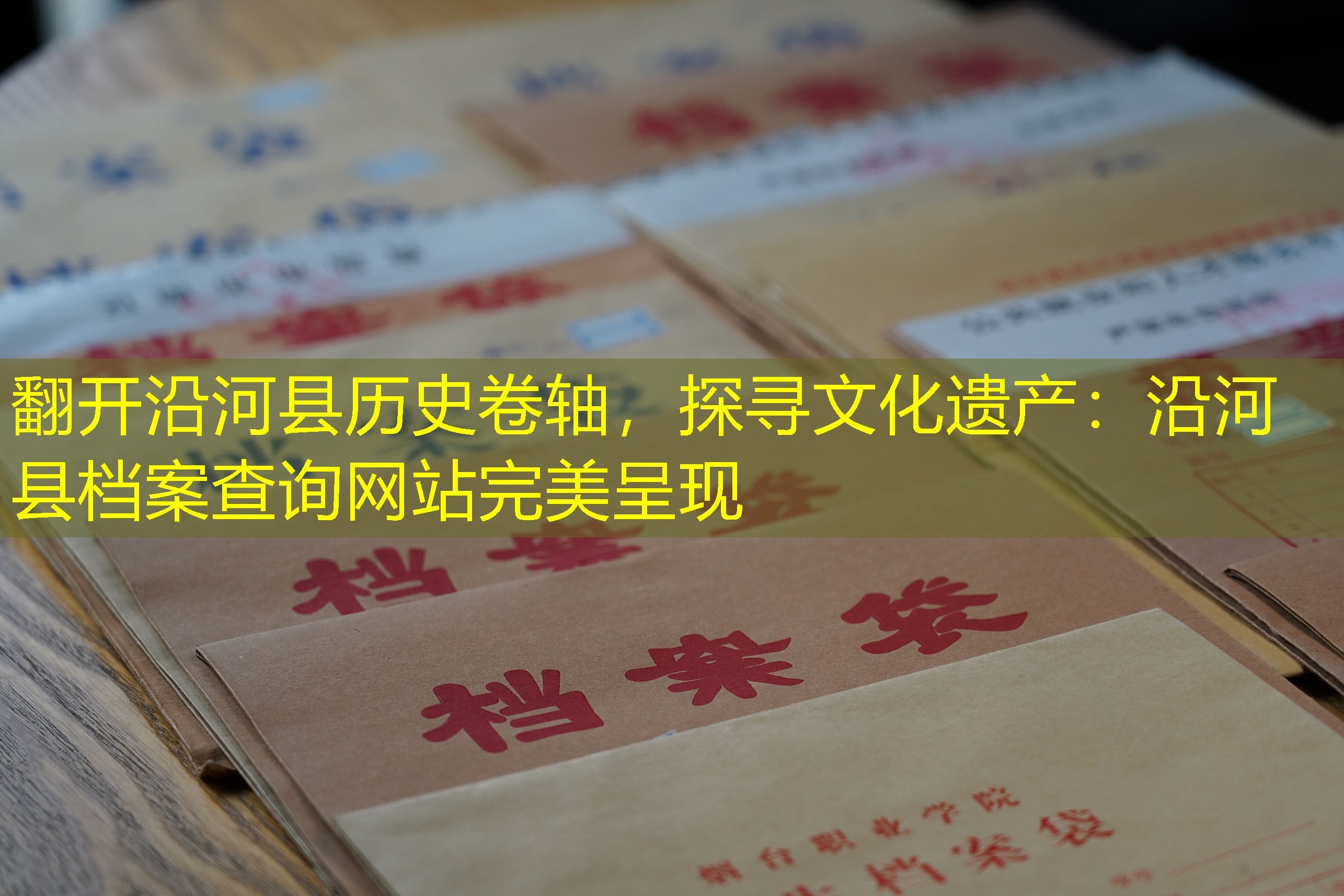 档案查询