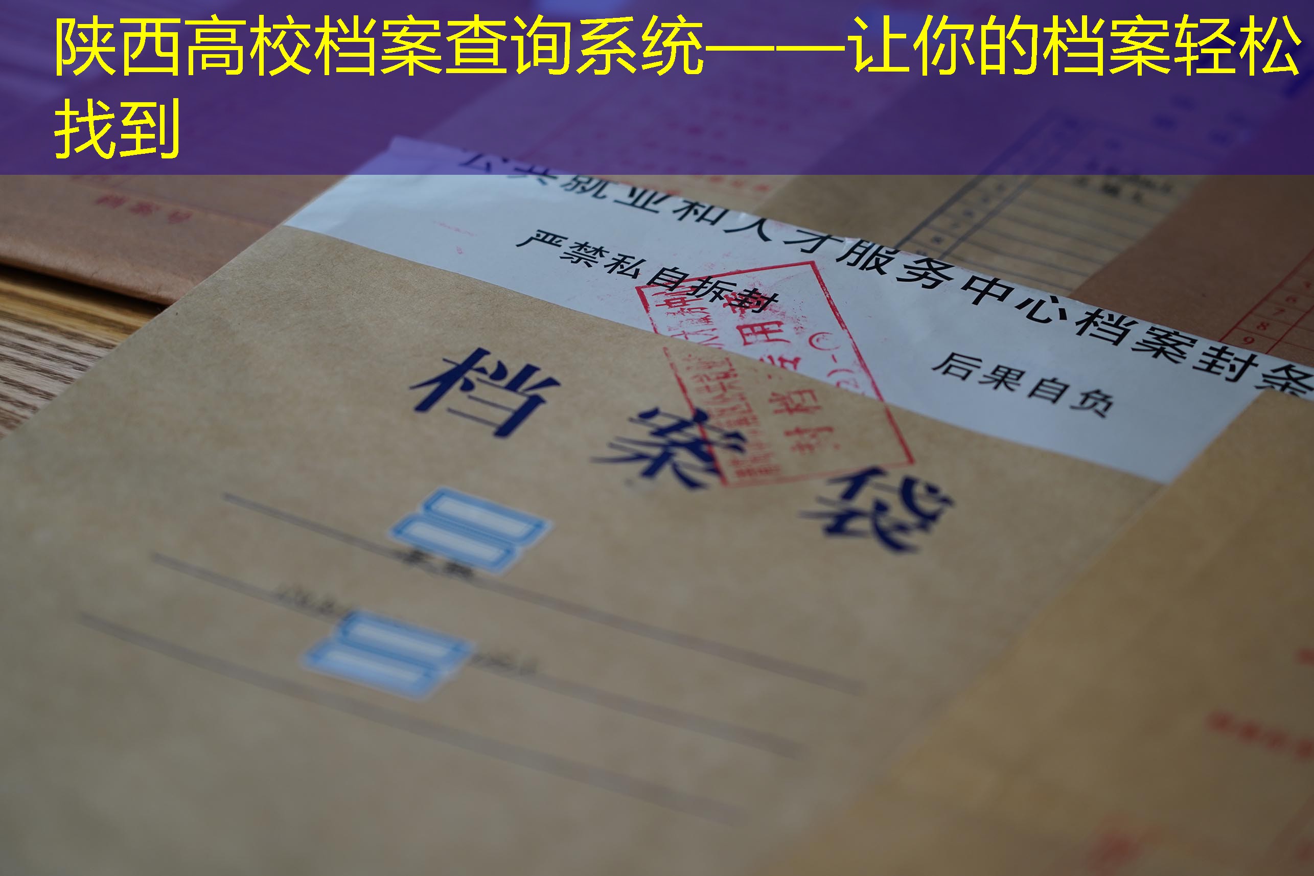 档案查询