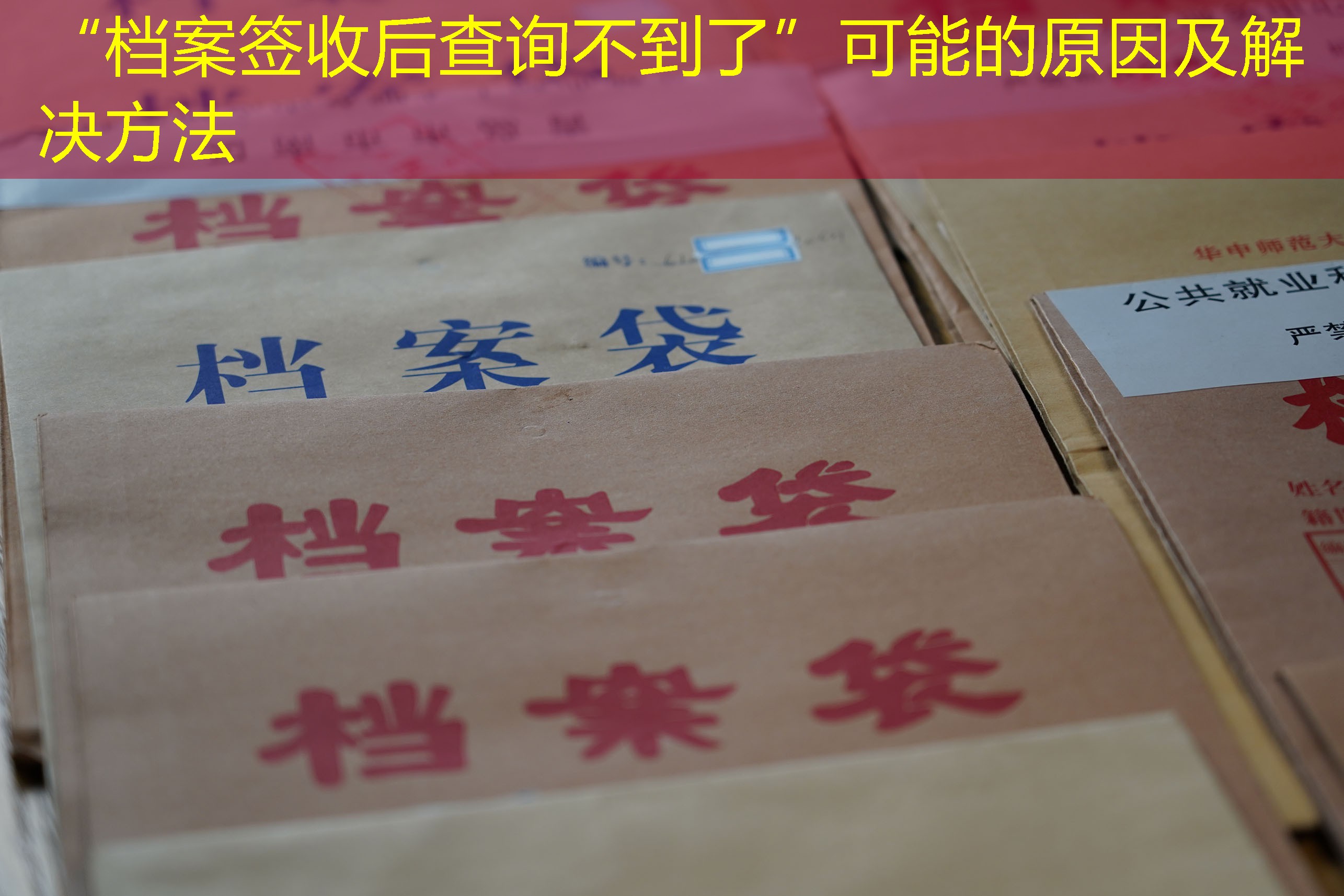 档案查询