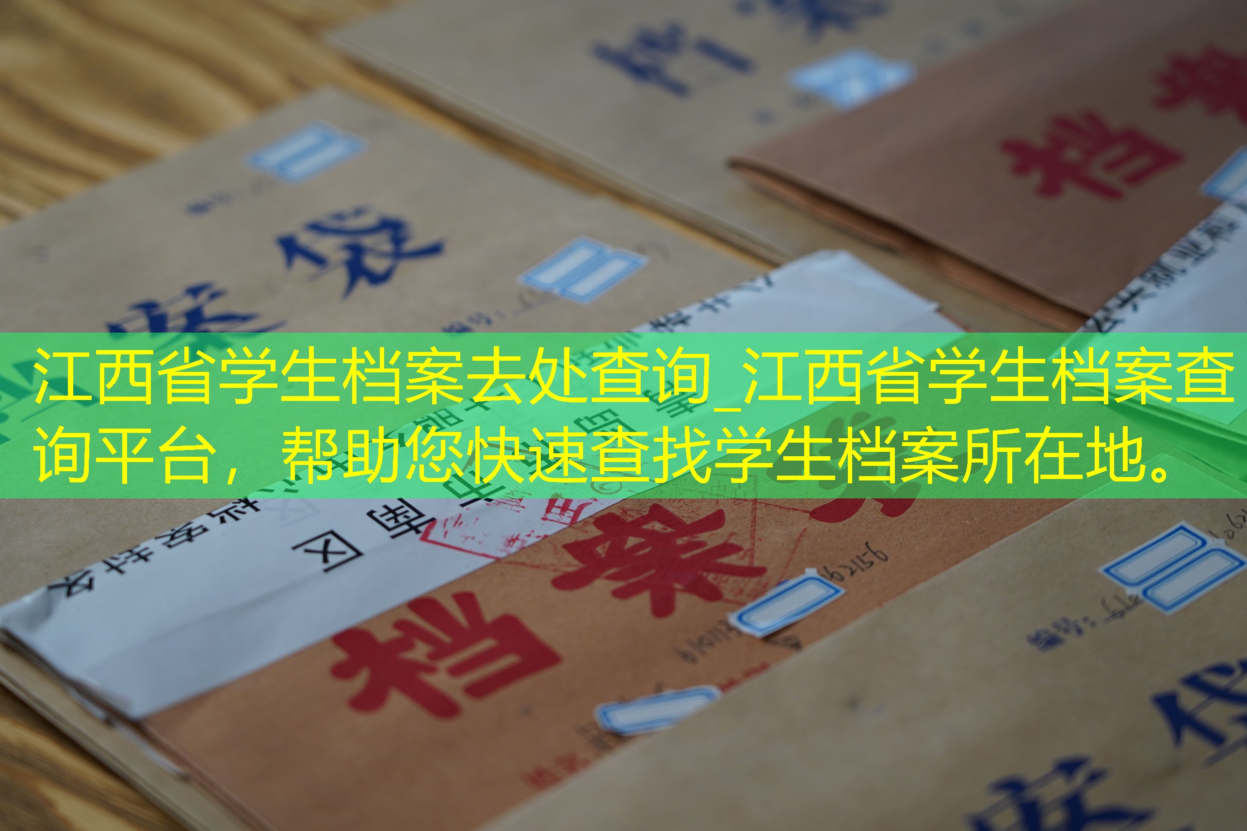 档案查询