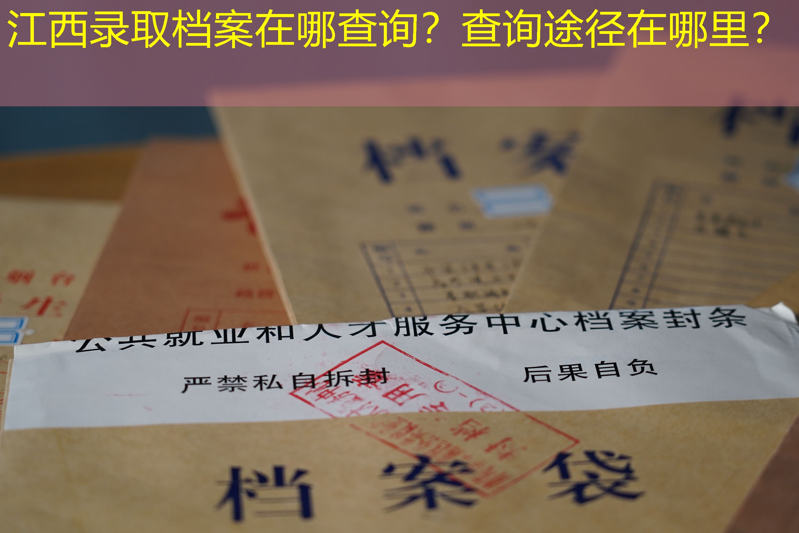 档案查询