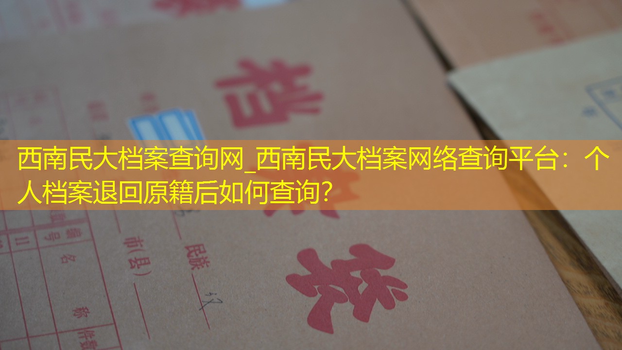 档案查询