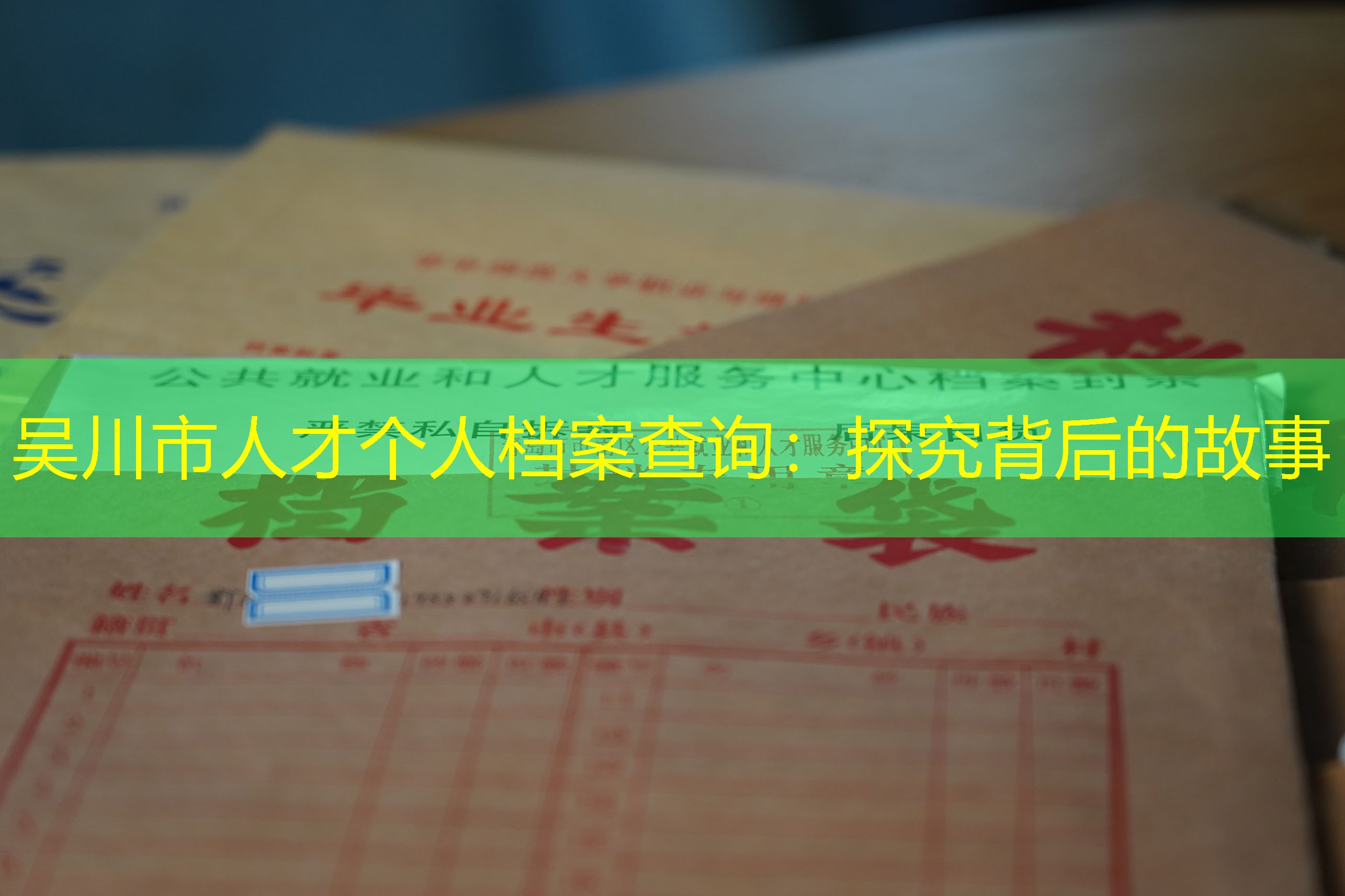 档案查询