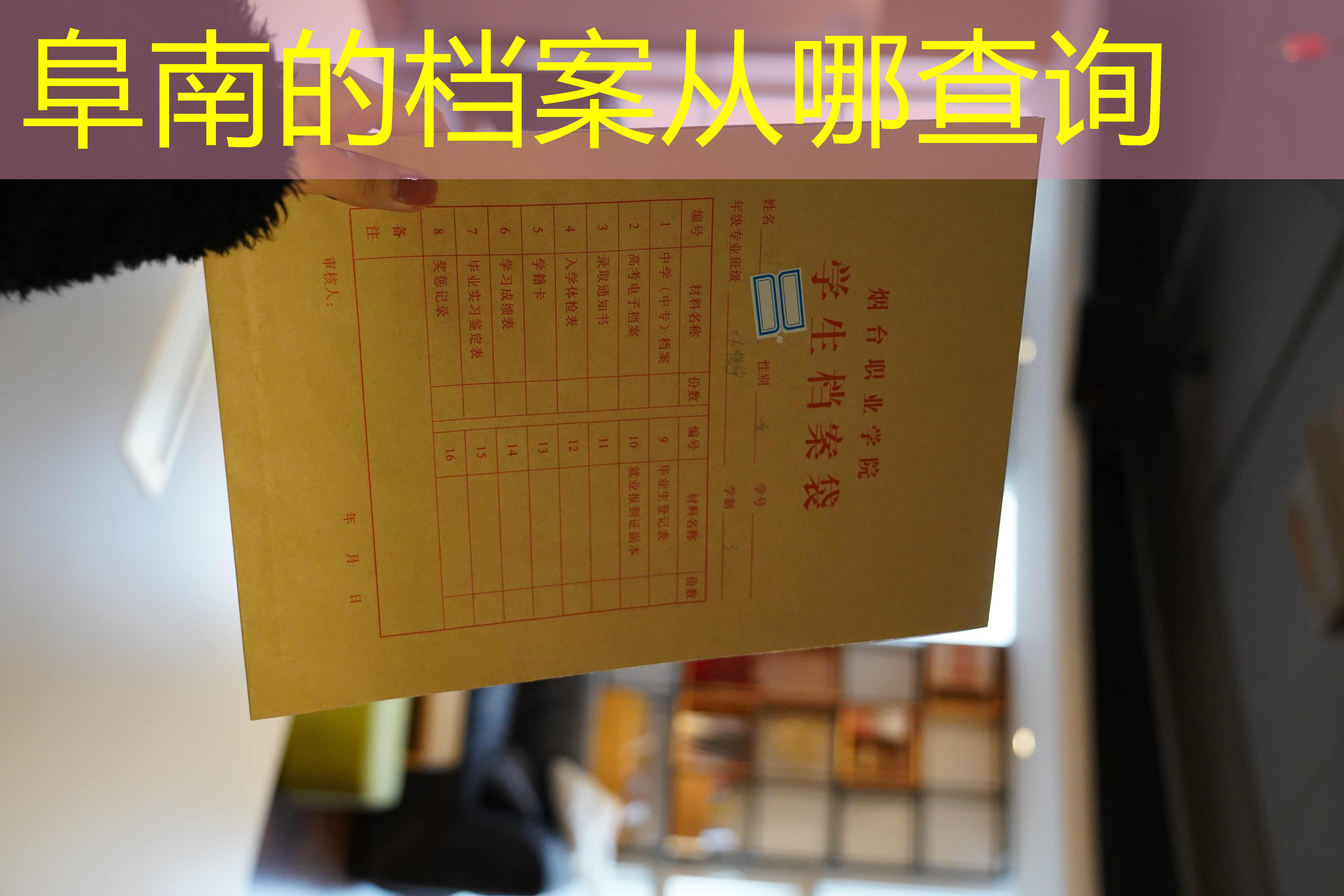 档案查询