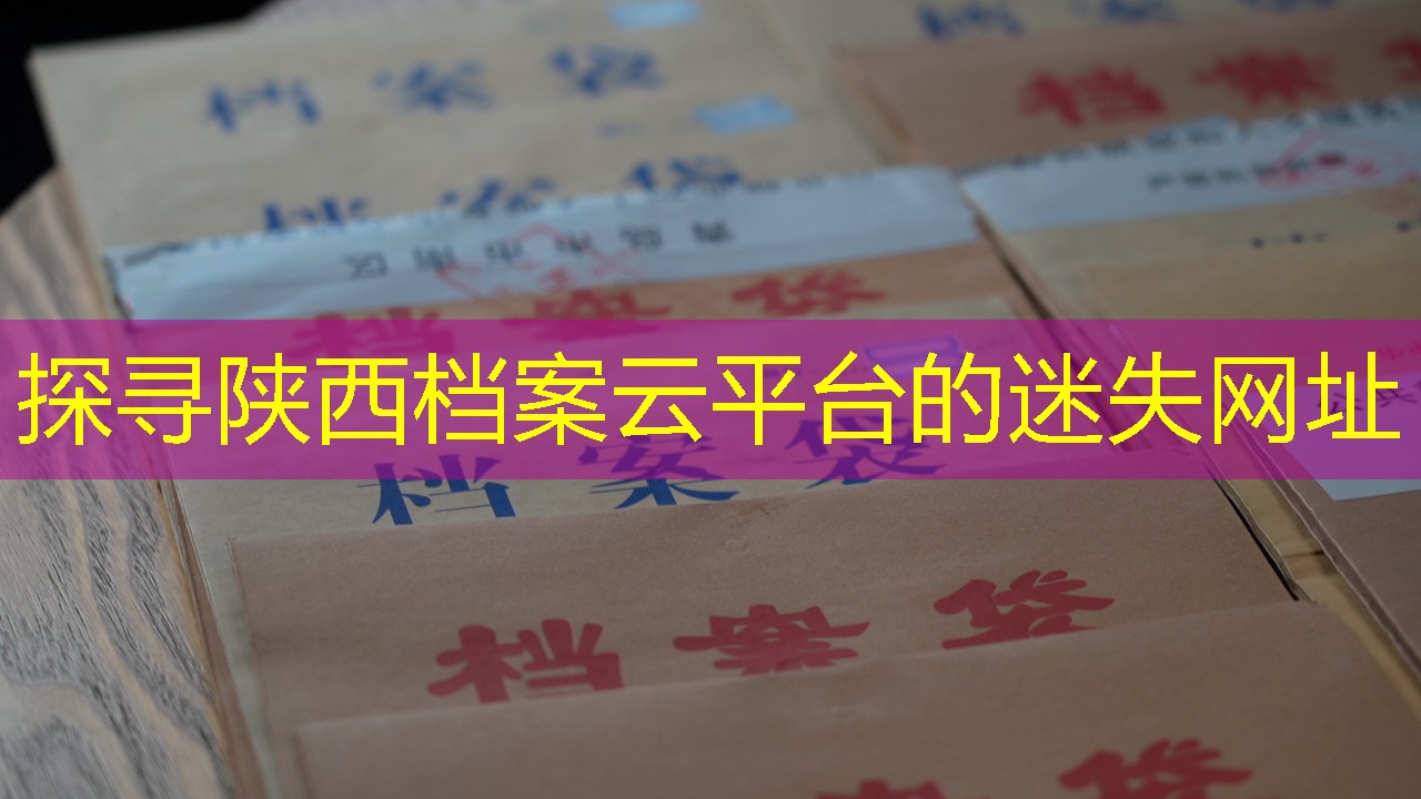 档案查询