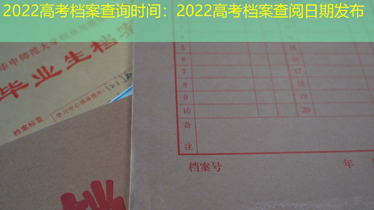 档案查询