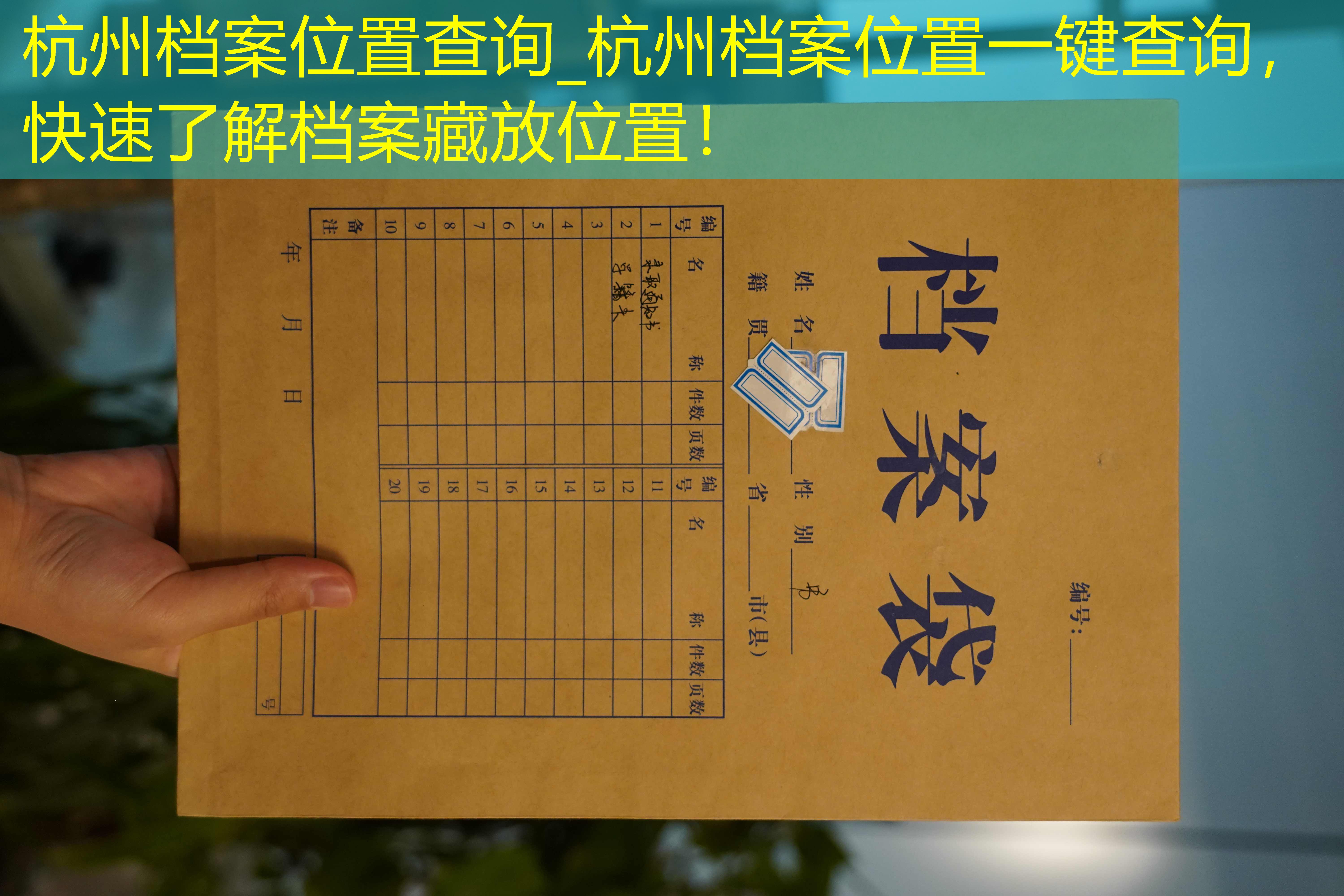 档案查询