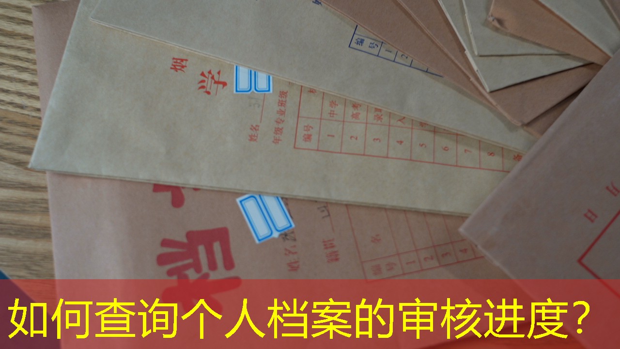 档案查询