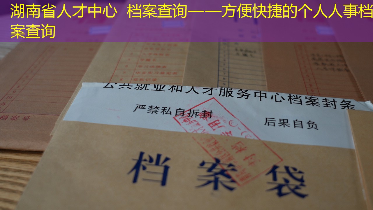 档案查询