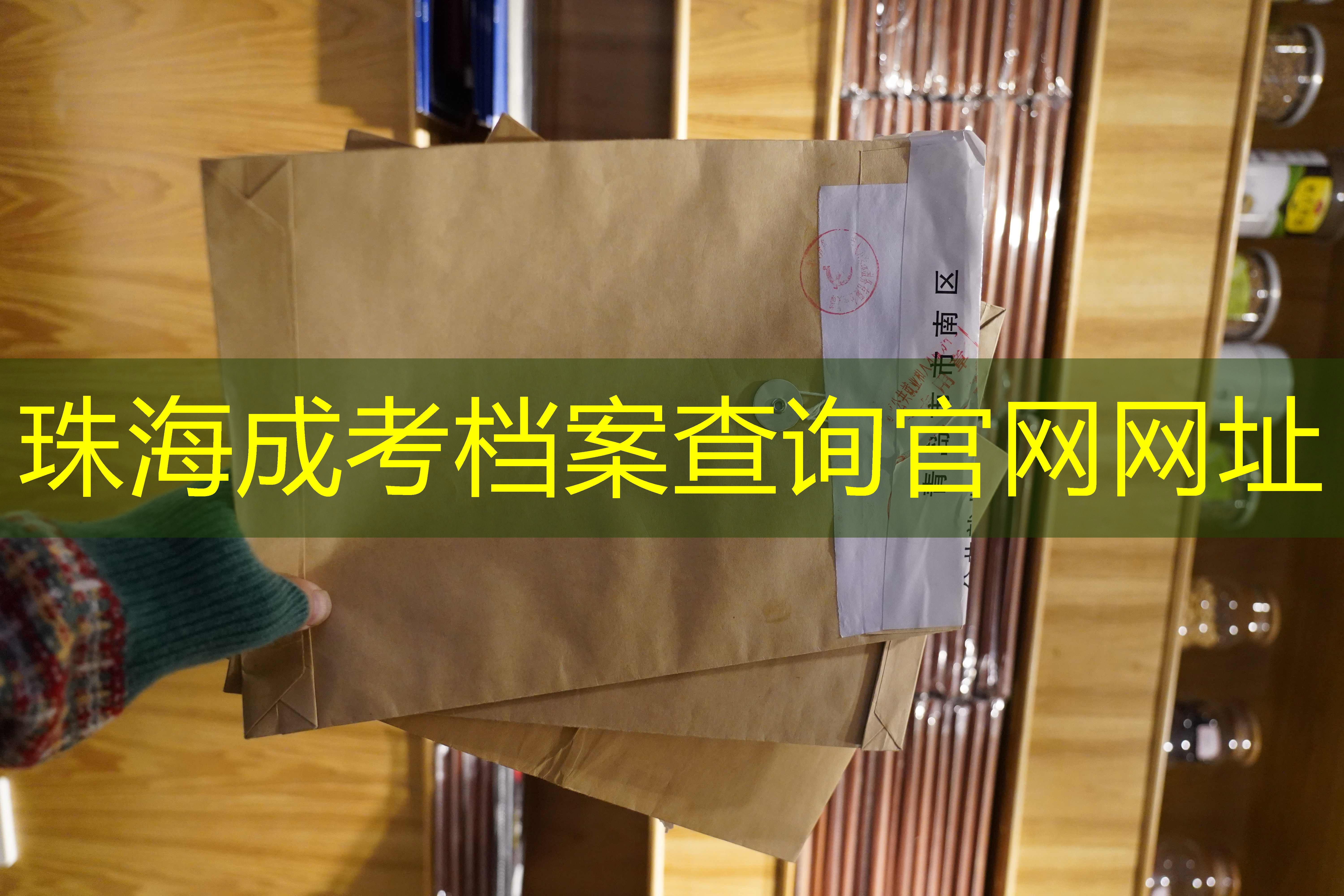 档案查询