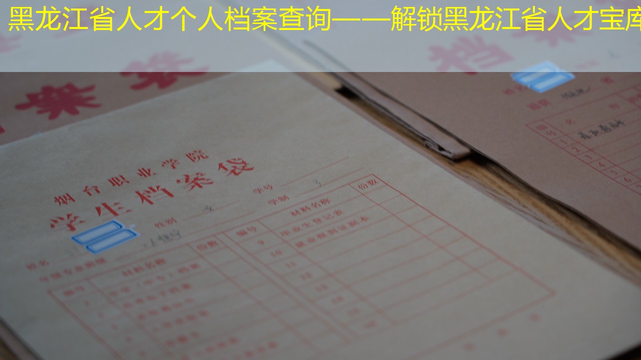 档案查询