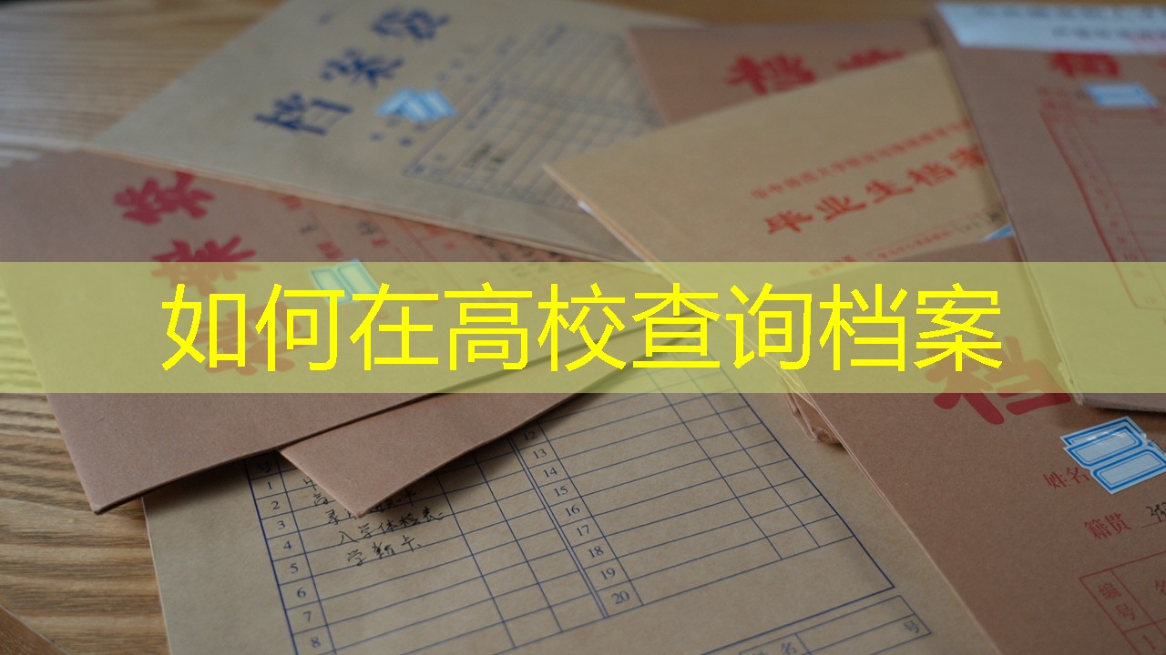 档案查询