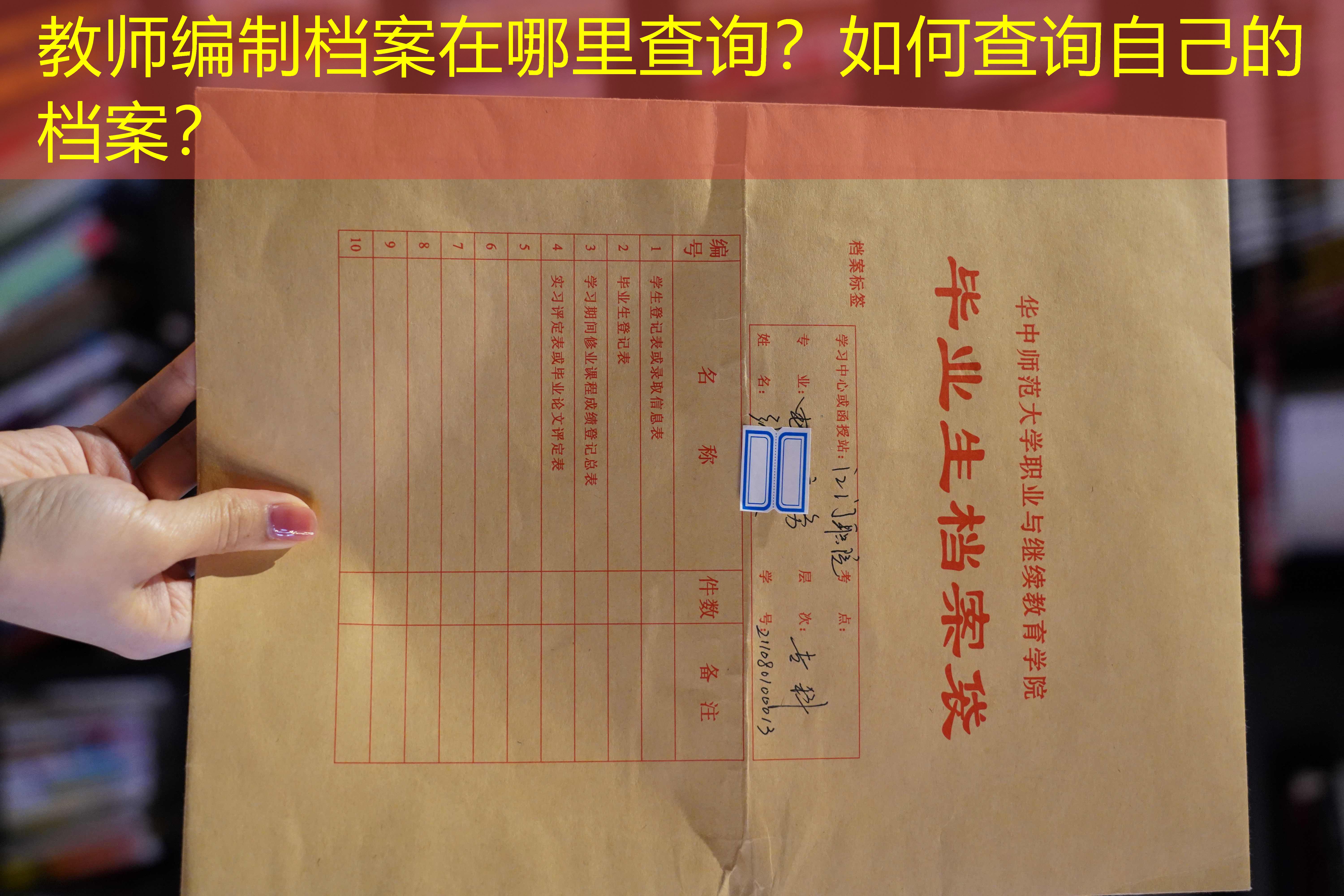 档案查询