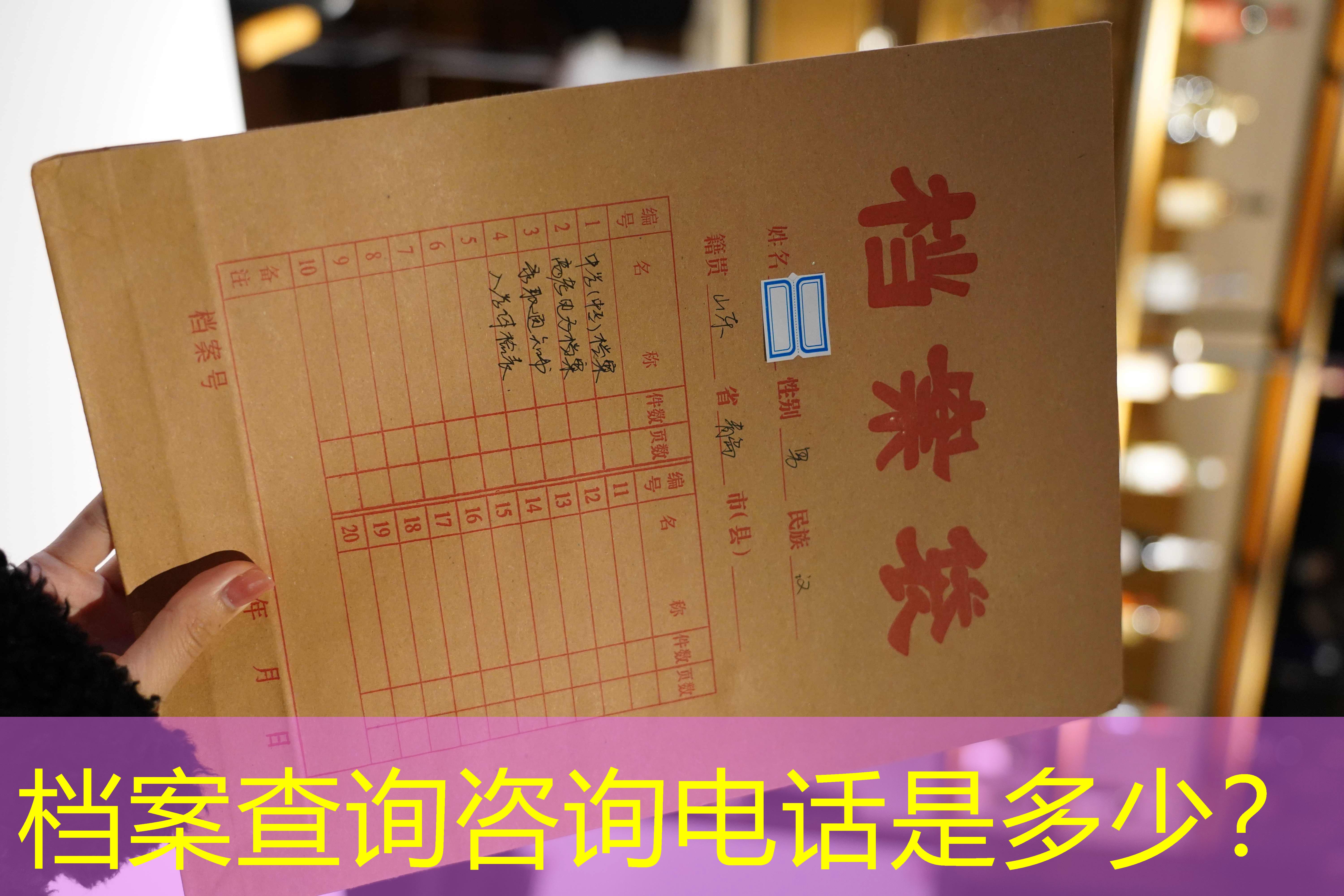档案查询