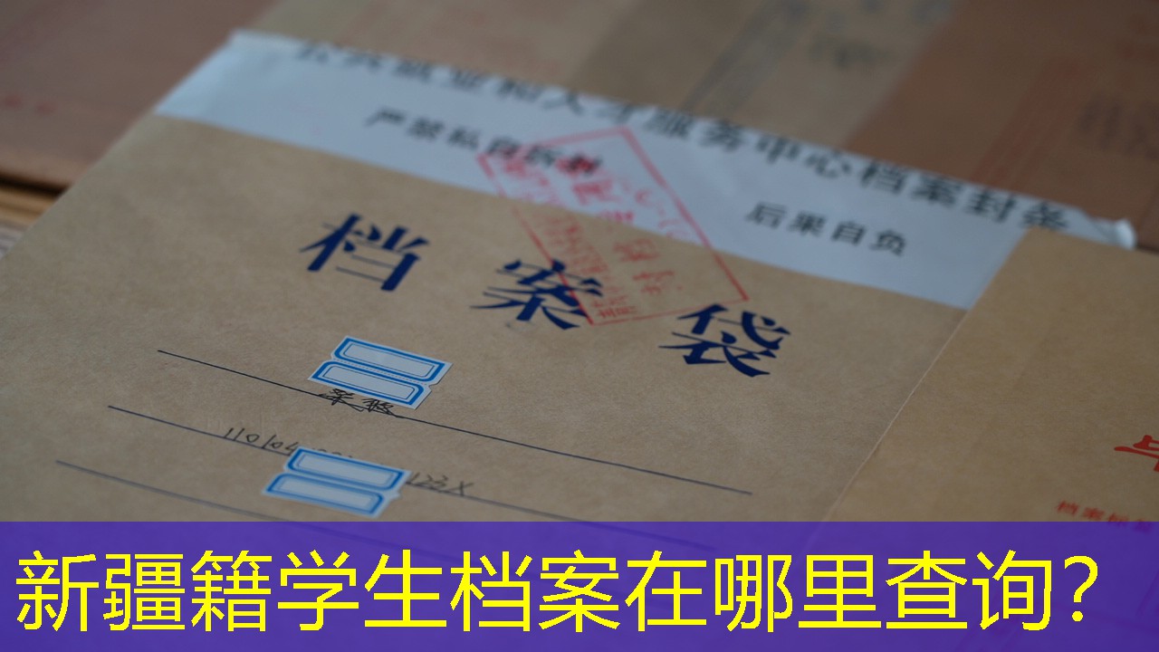 档案查询
